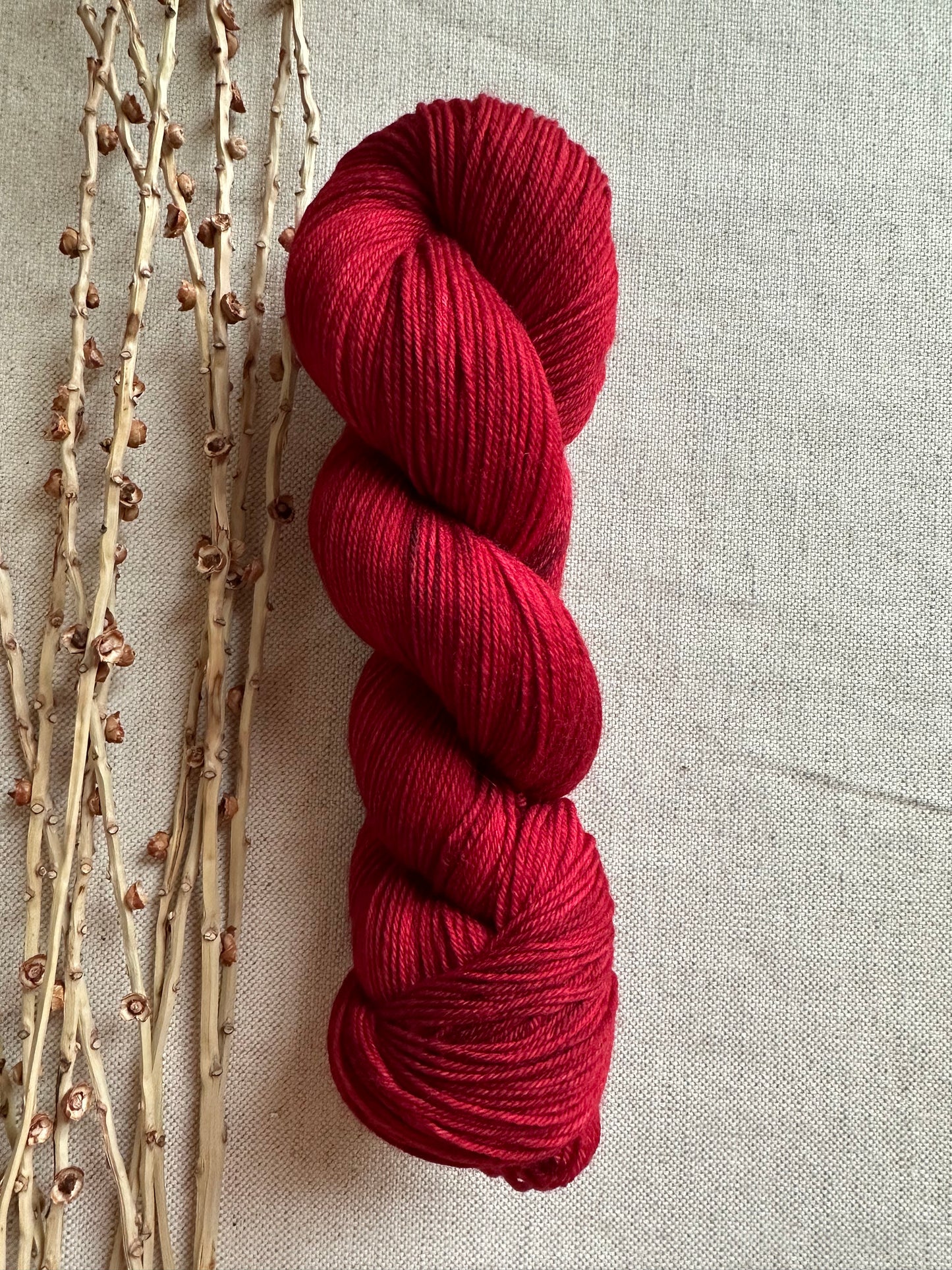 Poinsettia 100g SW Merino Nylon Yarn