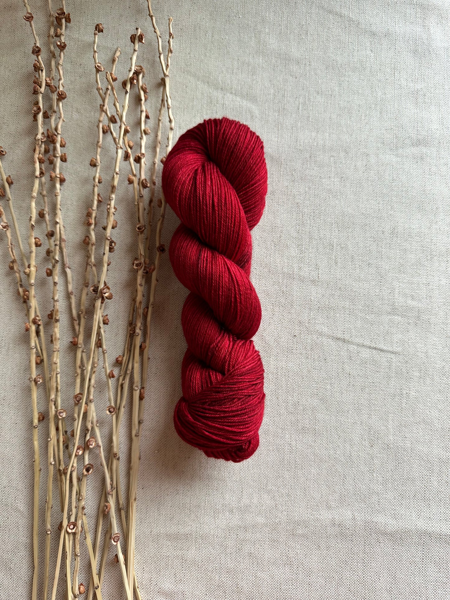 Poinsettia 100g SW Merino Nylon Yarn