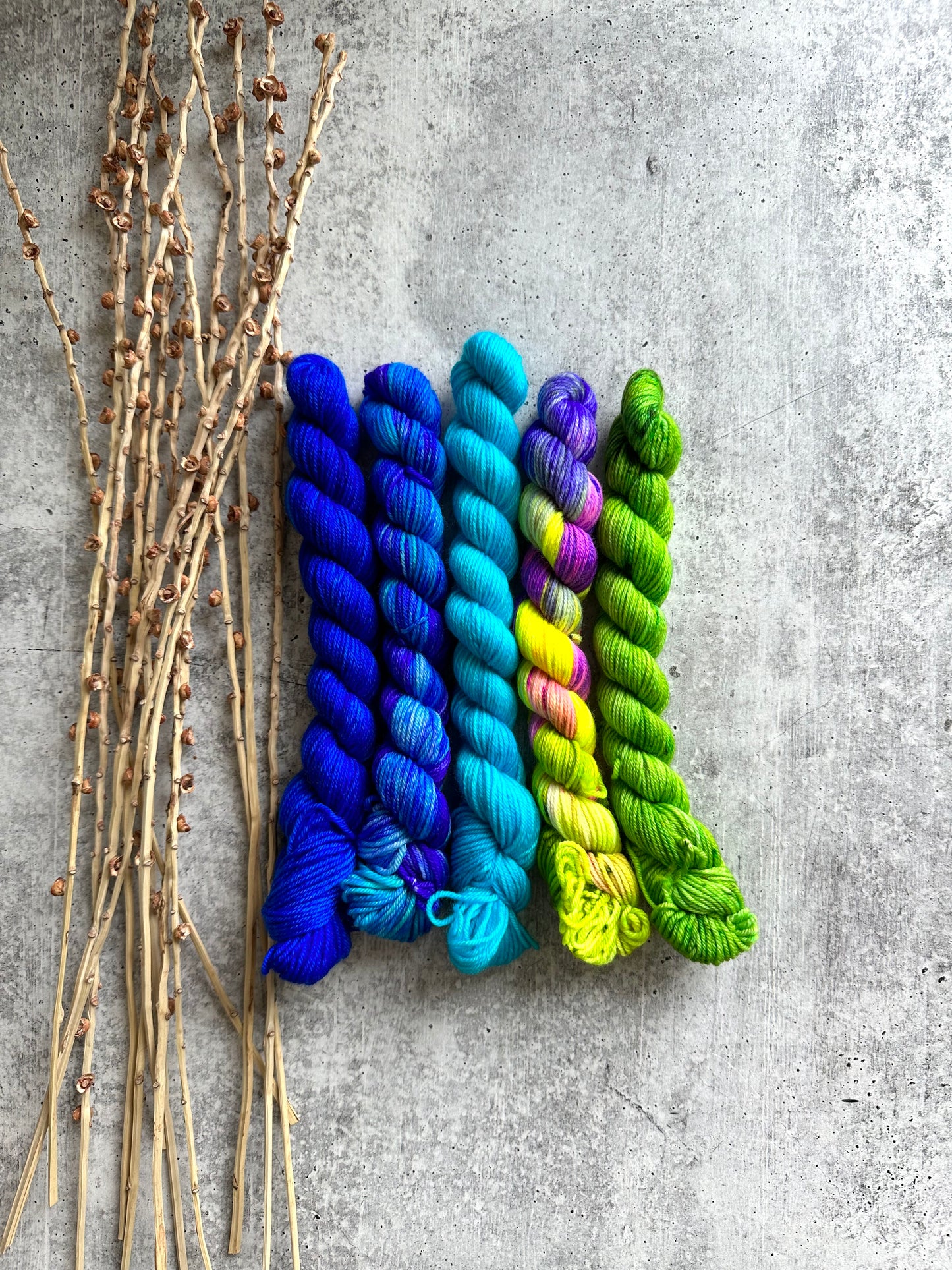 Twist & Shout - SW Merino Nylon Mini Skein Set