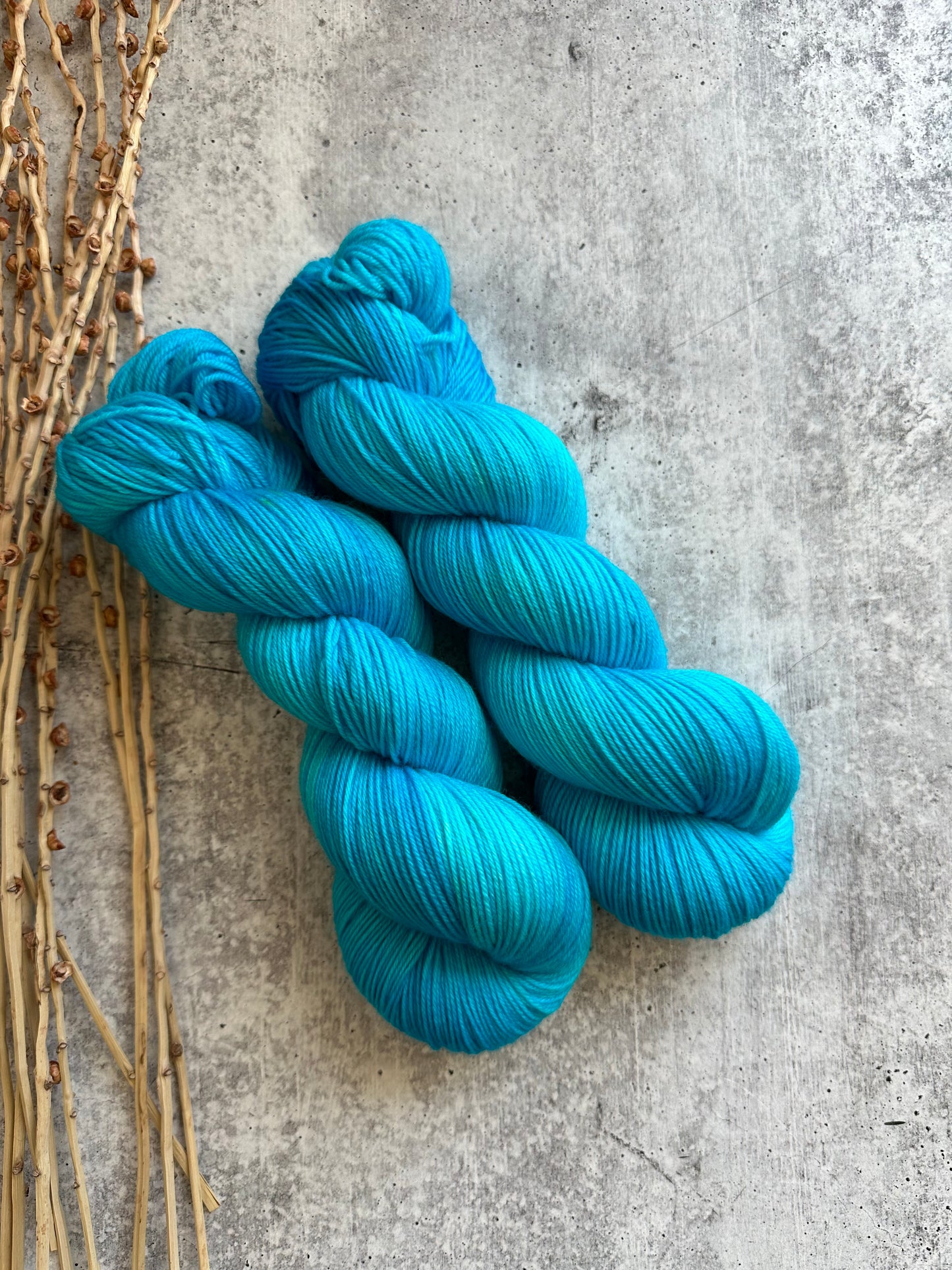 Sea Breeze SW Merino Nylon 100g Skein