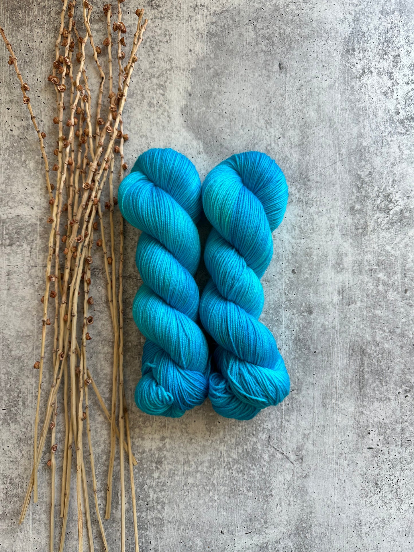 Sea Breeze SW Merino Nylon 100g Skein