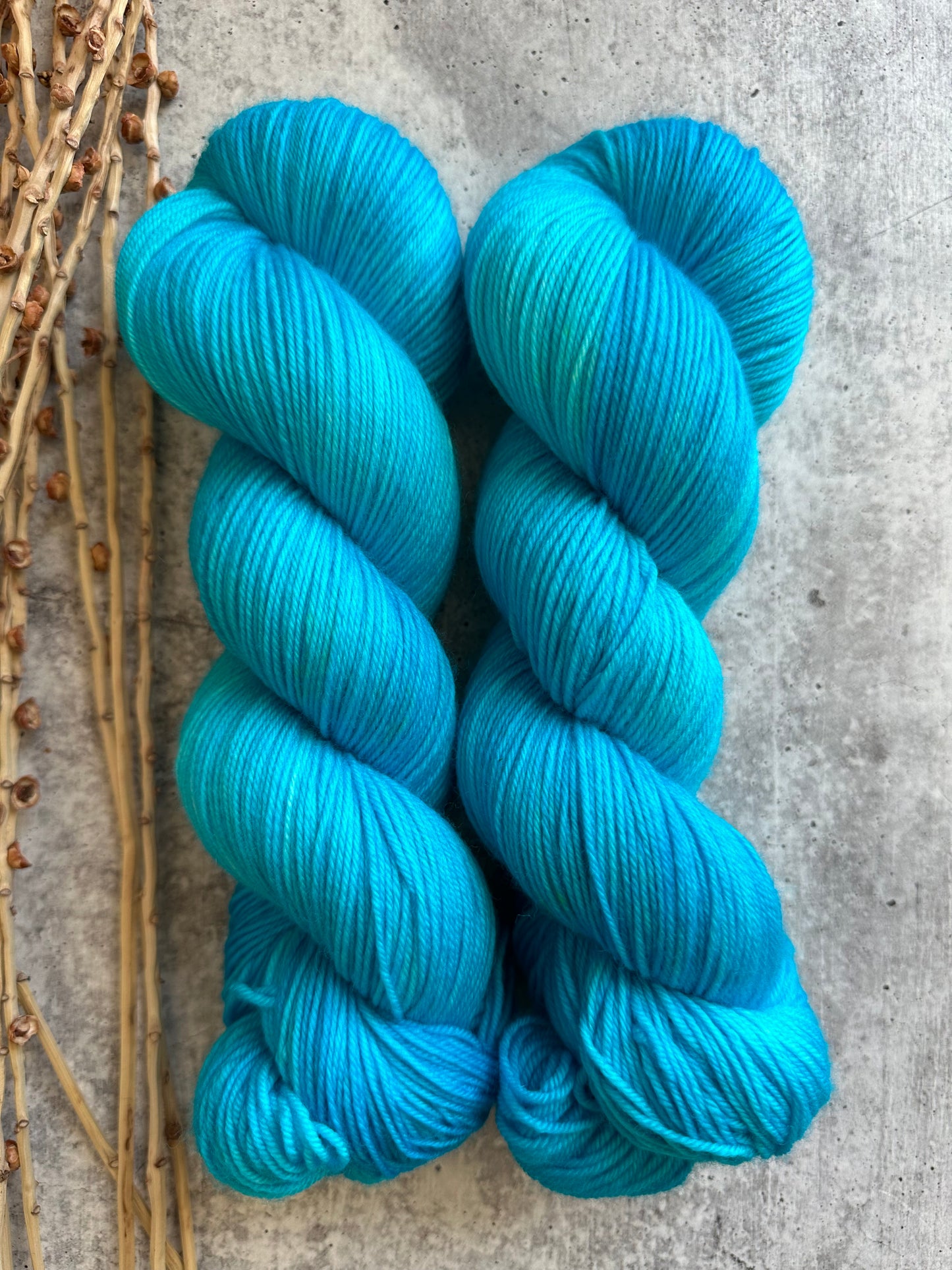 Sea Breeze SW Merino Nylon 100g Skein
