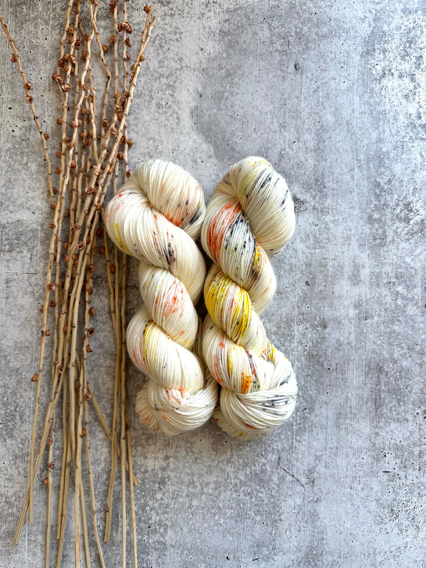 Skeleton Crew SW Merino Nylon Yarn