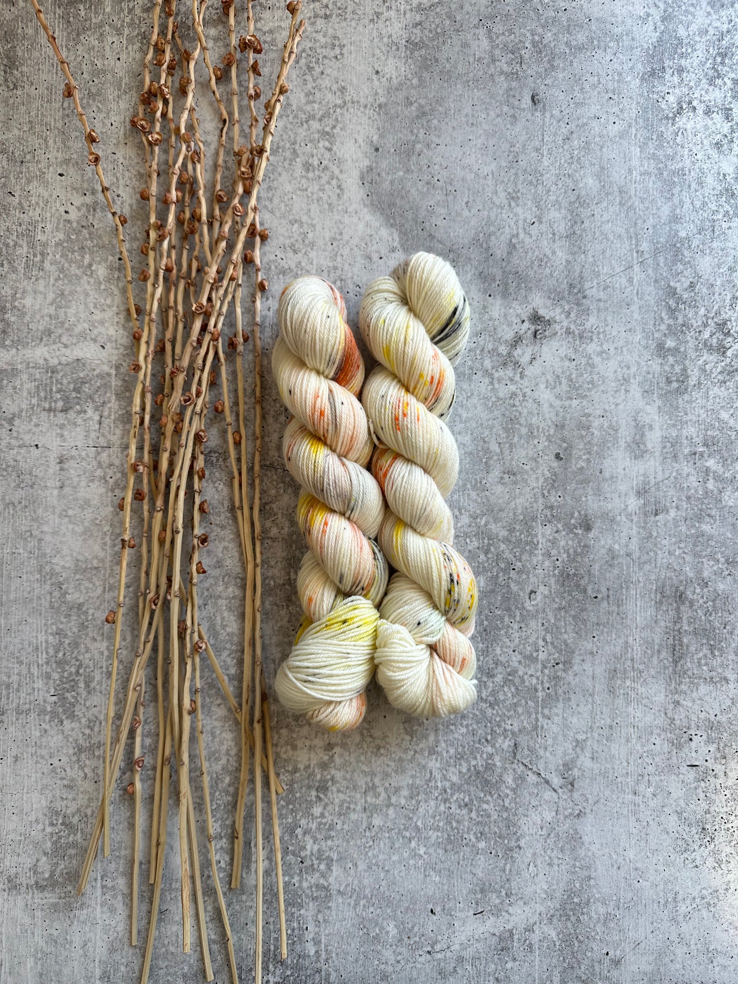Skeleton Crew SW Merino Nylon 50g Skein