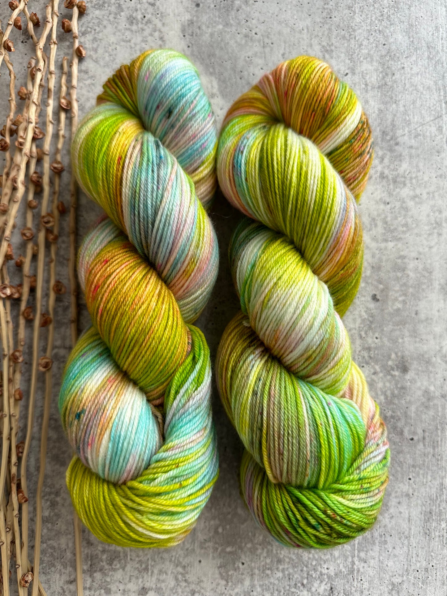 Fairy Grass