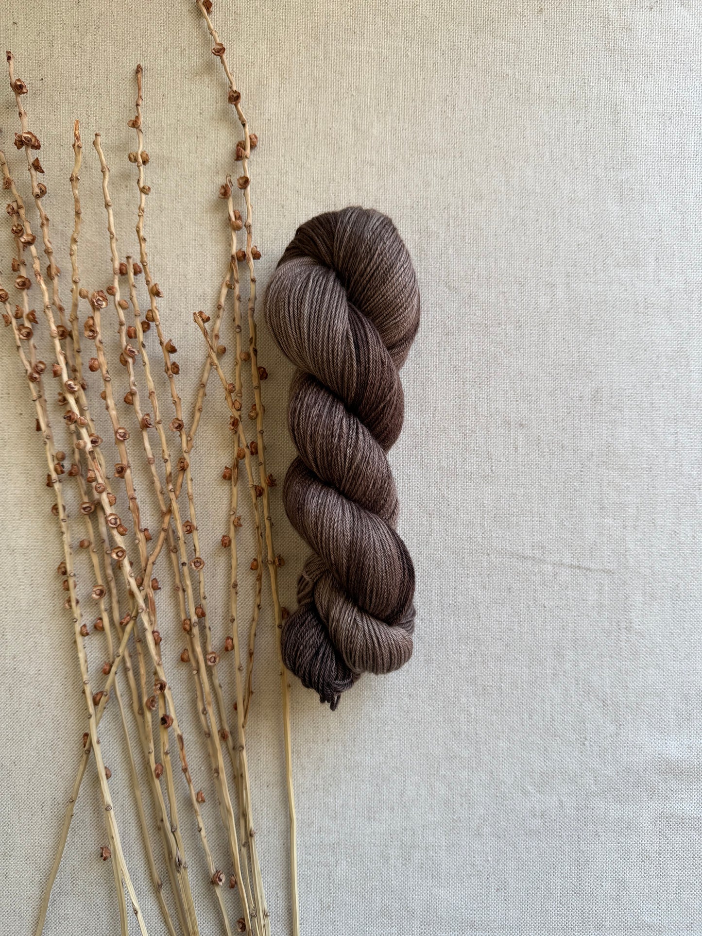 Pecan Merino