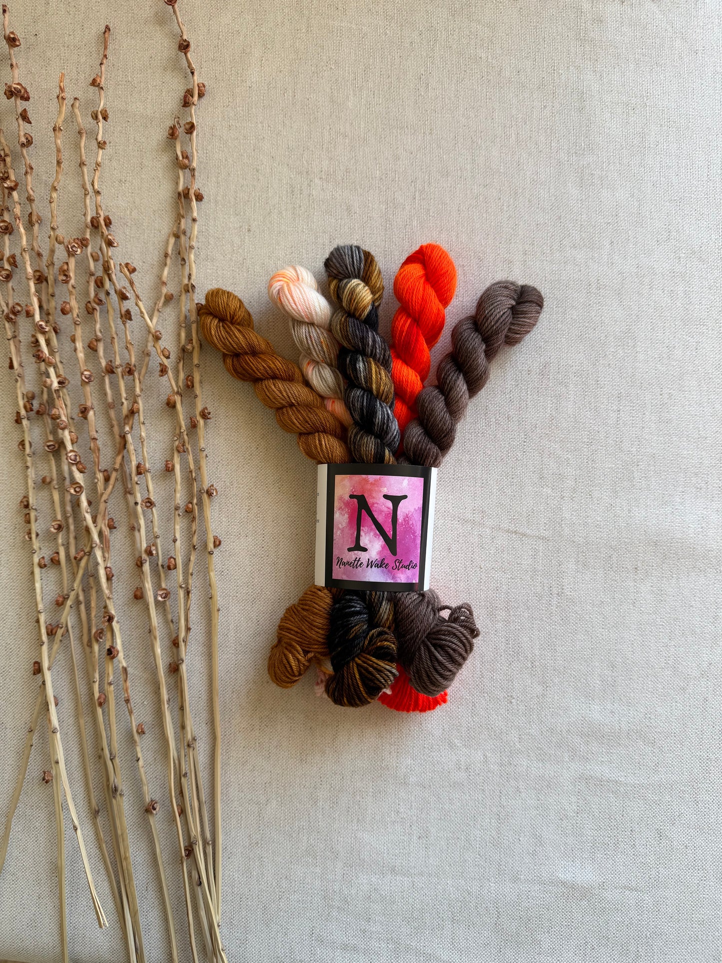 Eliot's Yota - SW Merino Nylon Mini Skein Set