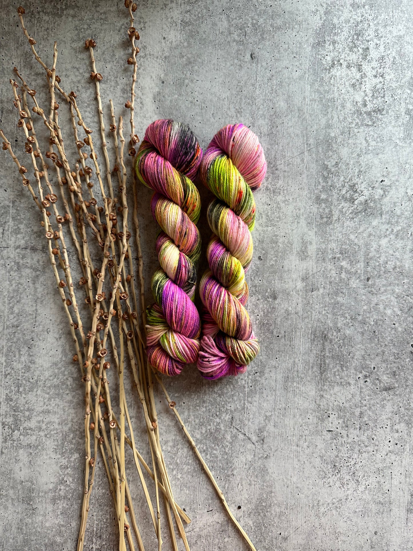 Sassy Sally SW Merino Nylon 50g Skein