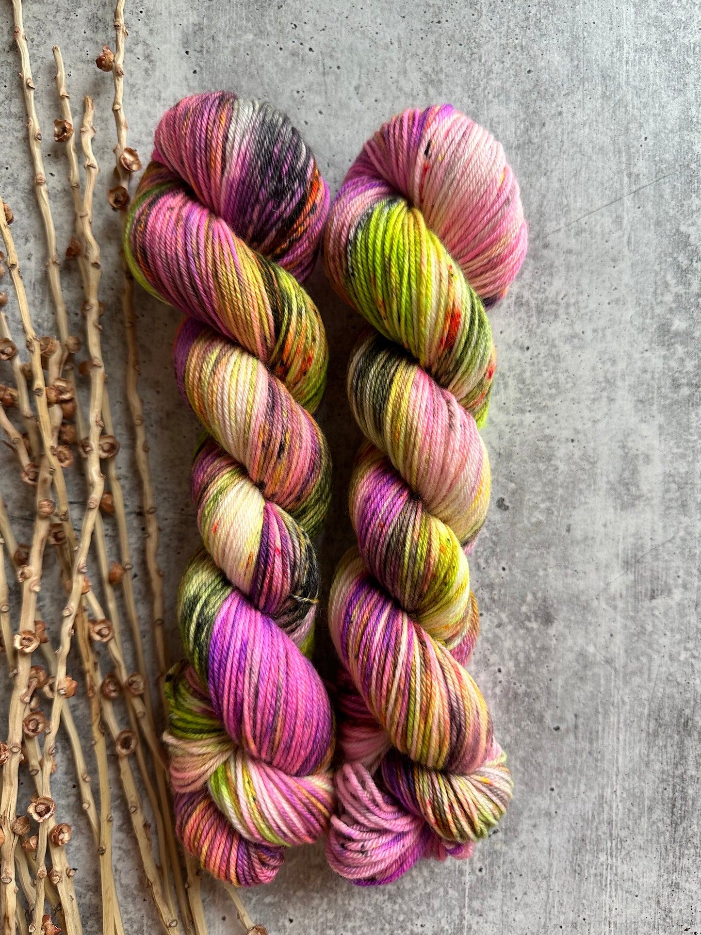 Sassy Sally SW Merino Nylon 50g Skein