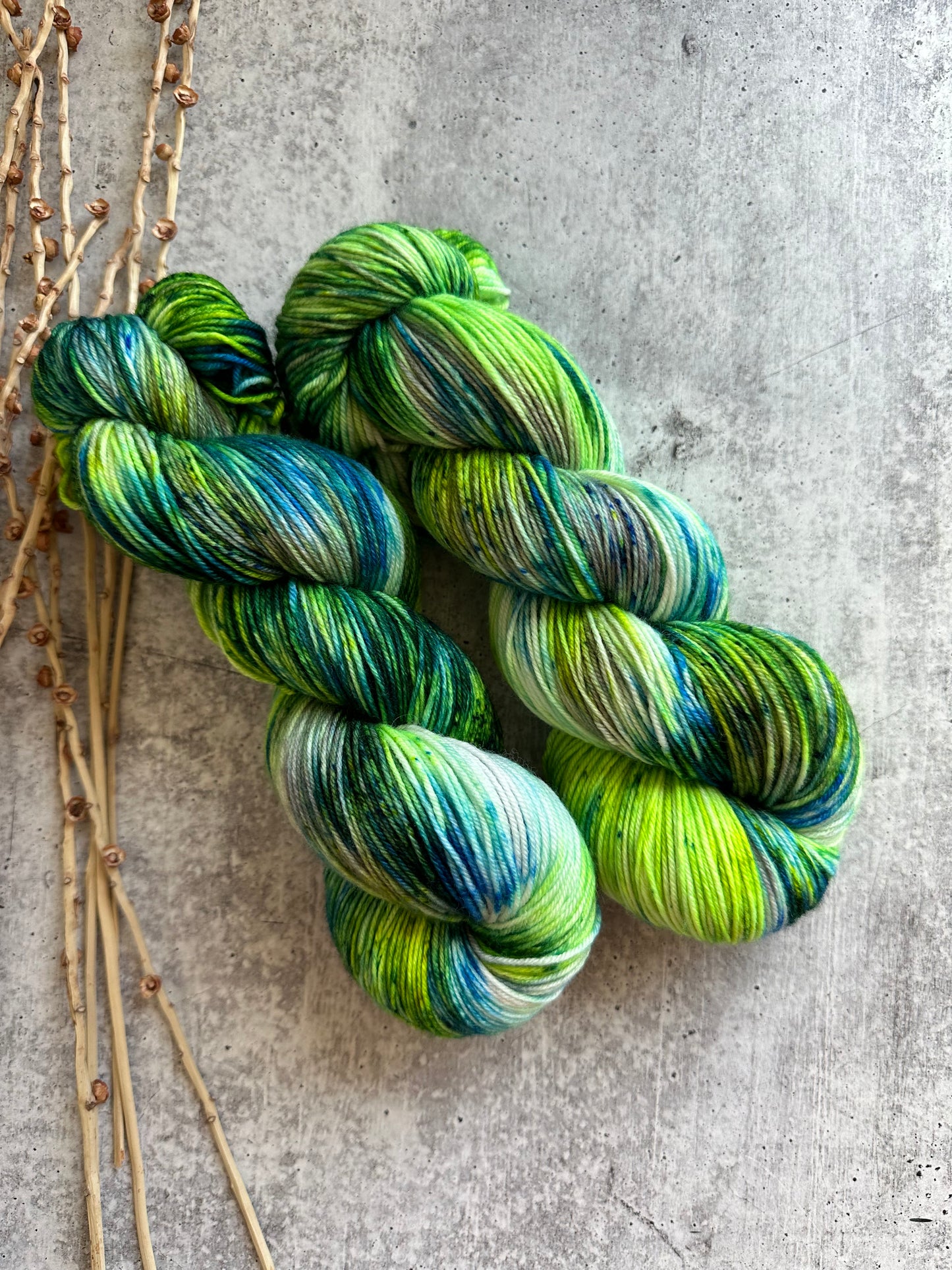 Seattle 2023 SW Merino Nylon Yarn
