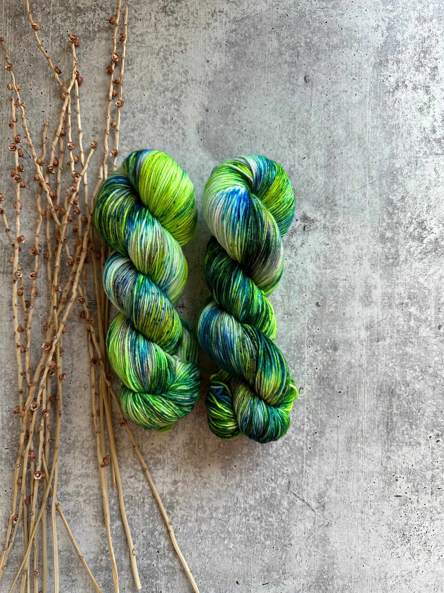 Seattle 2023 SW Merino Nylon Yarn