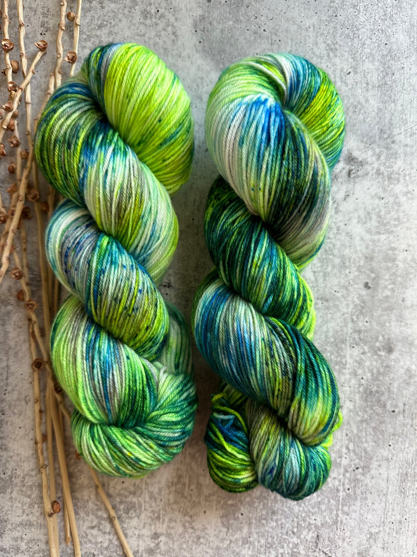 Seattle 2023 SW Merino Nylon Yarn