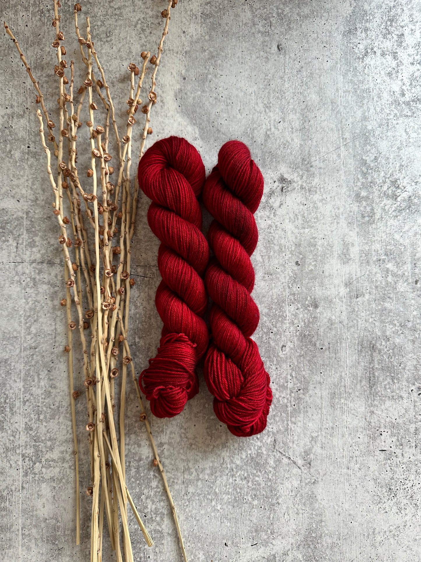 Poinsettia SW Merino Nylon 50g Skein