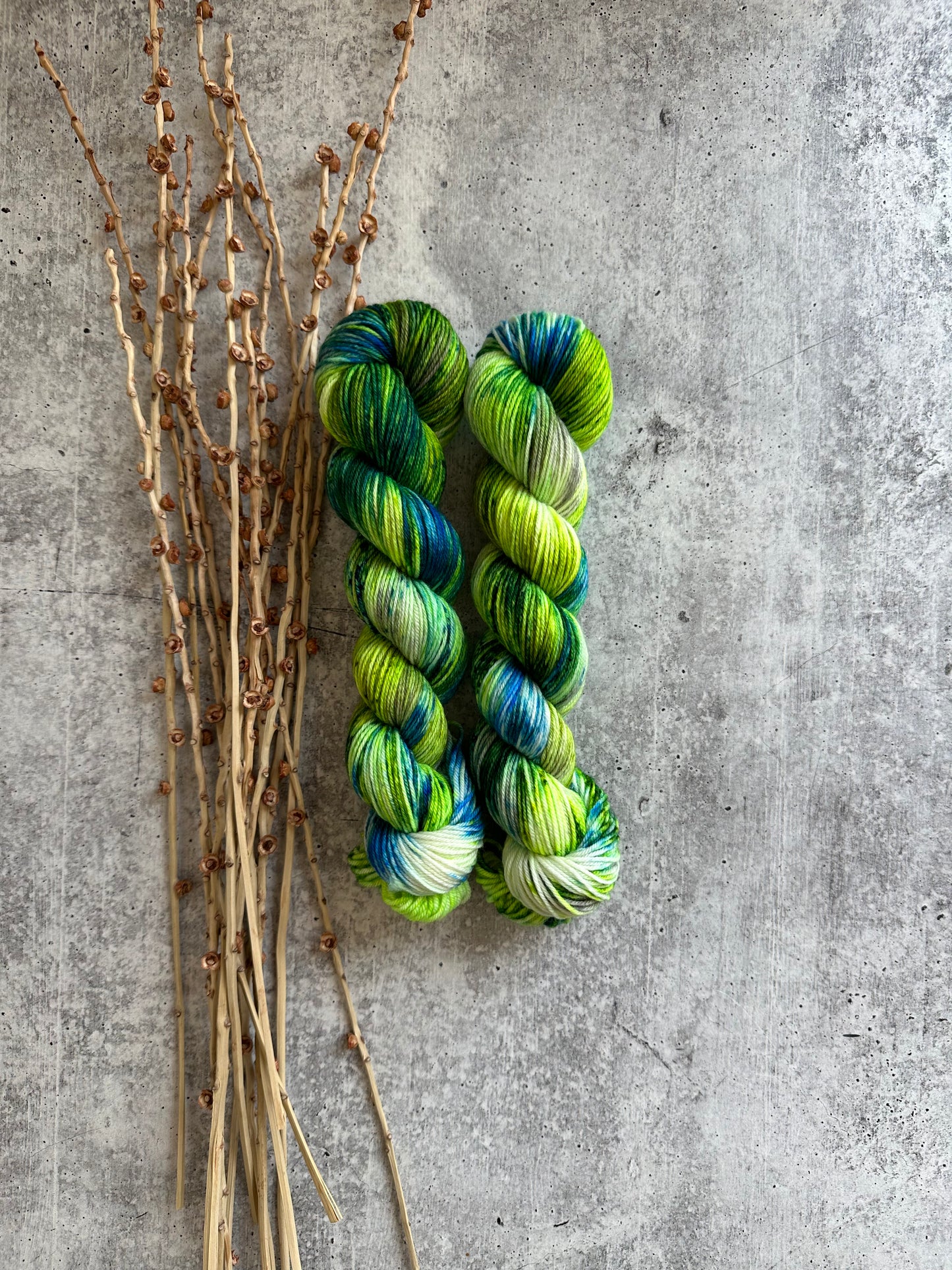 Seattle 2023 SW Merino Nylon 50g Skein