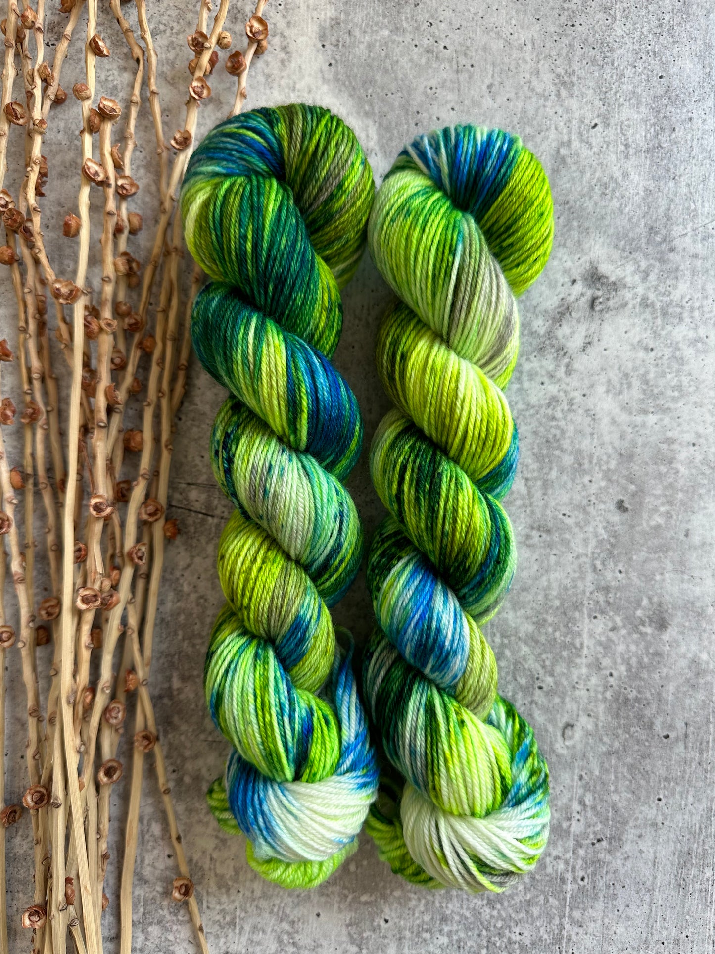 Seattle 2023 SW Merino Nylon 50g Skein
