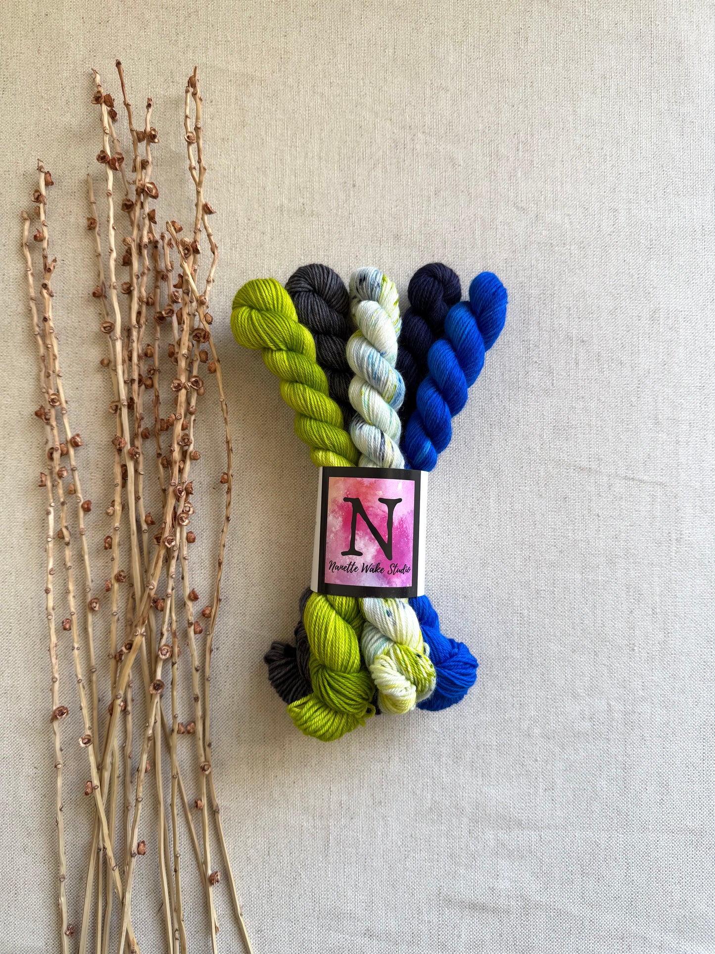We Are The Champions of the World! - SW Merino Nylon Mini Skein Set (Copy)
