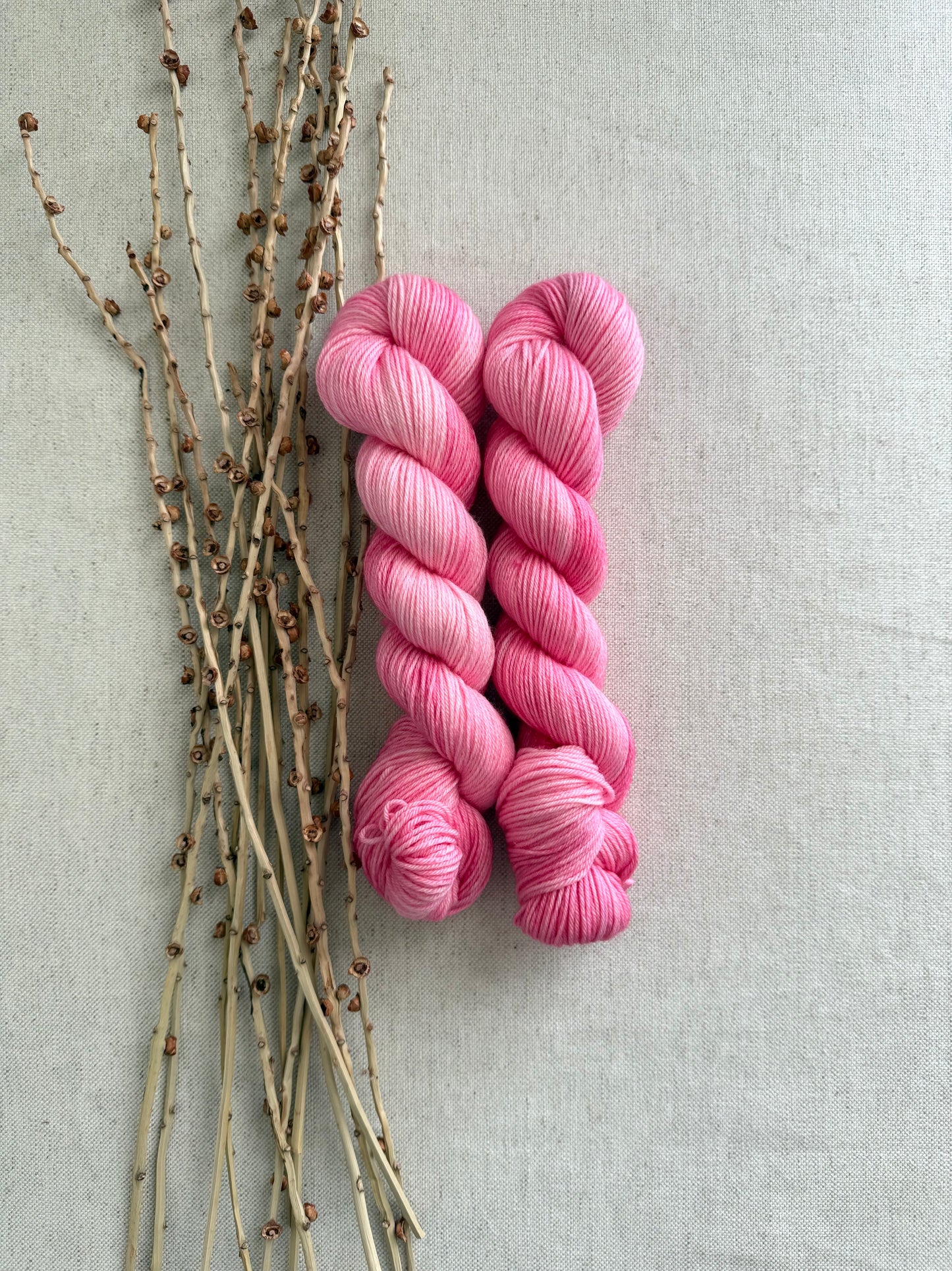 Ballerina 50g SW Merino Nylon Yarn