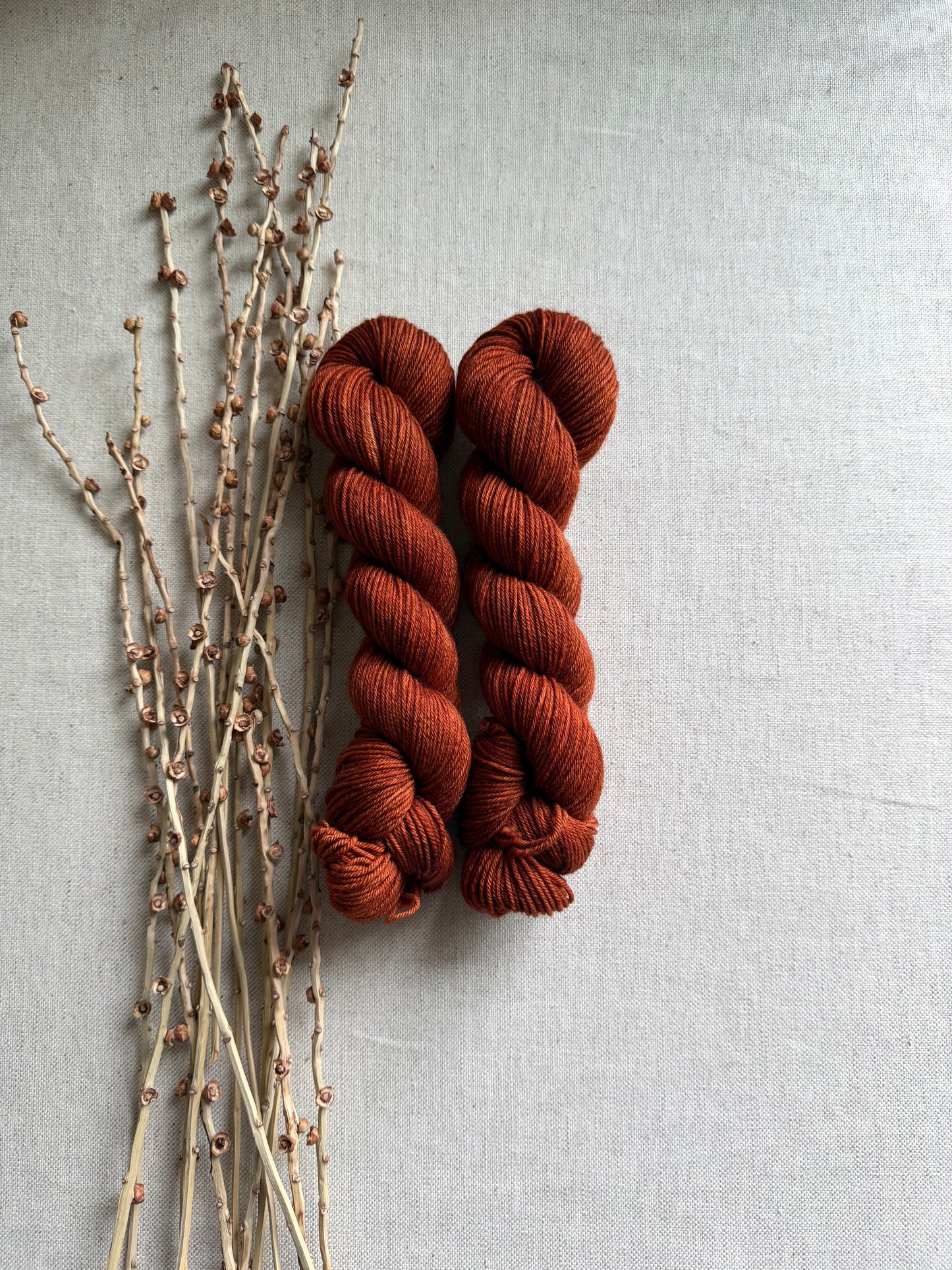 Rust SW Merino Nylon 50g Skein