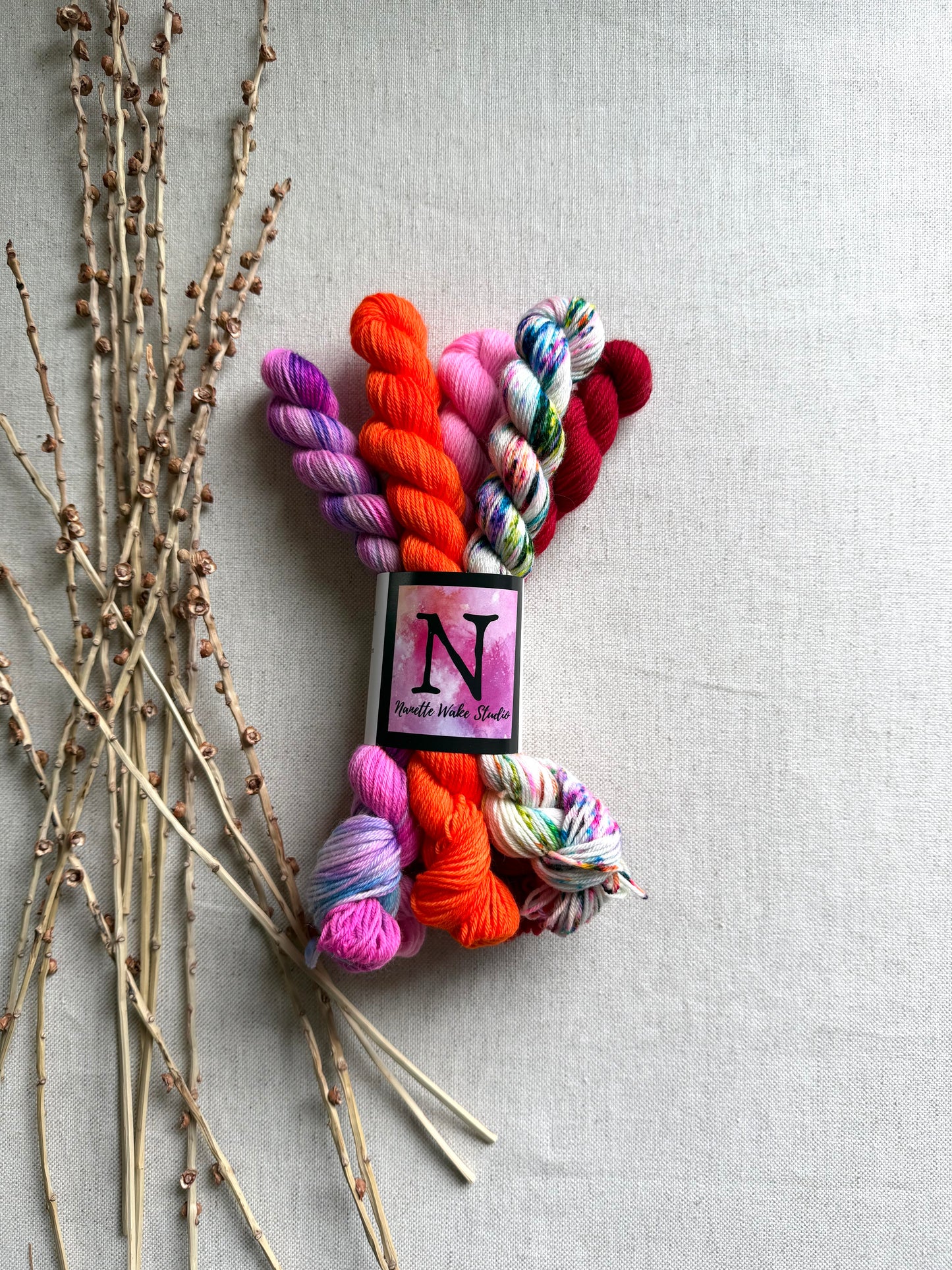 Happy Go Lucky - SW Merino Nylon Mini Skein Set
