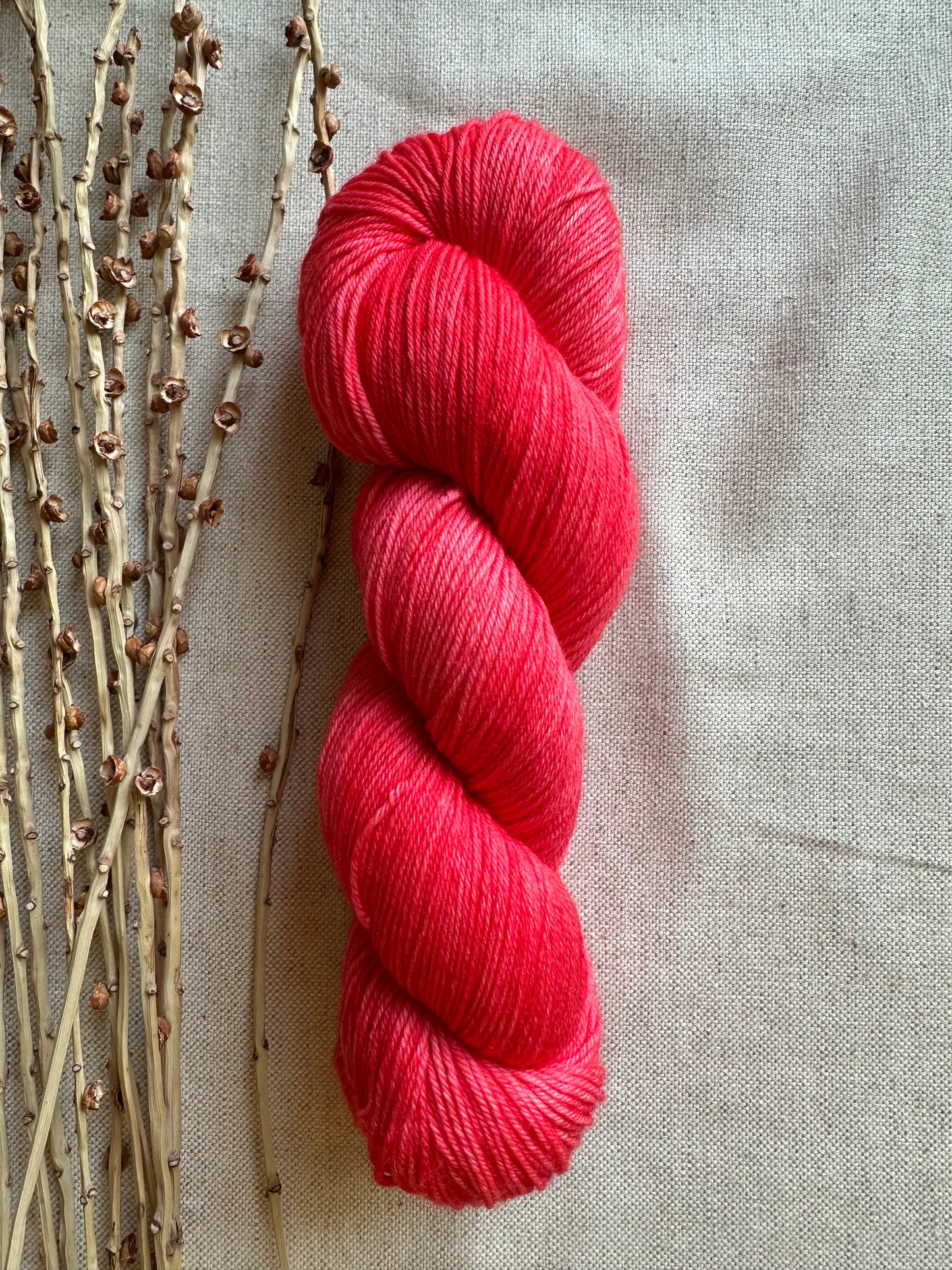 Coral SW Merino Nylon Yarn