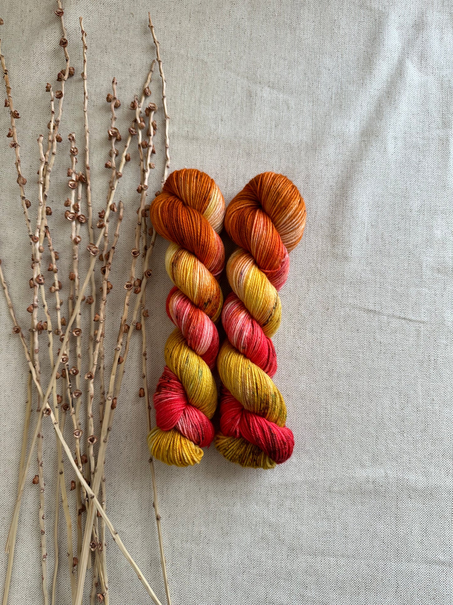 Maize 50g Skein