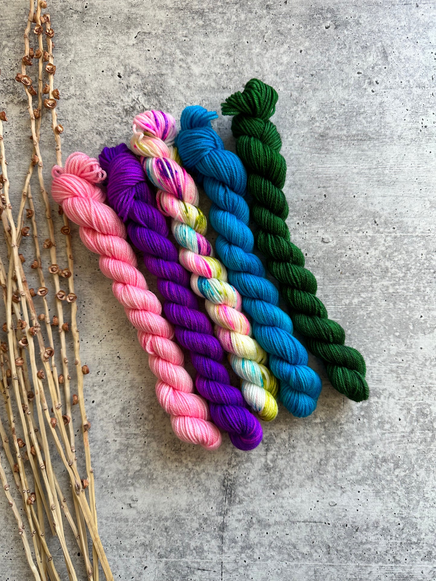 Circus Clown - SW Merino Nylon Mini Skein Set