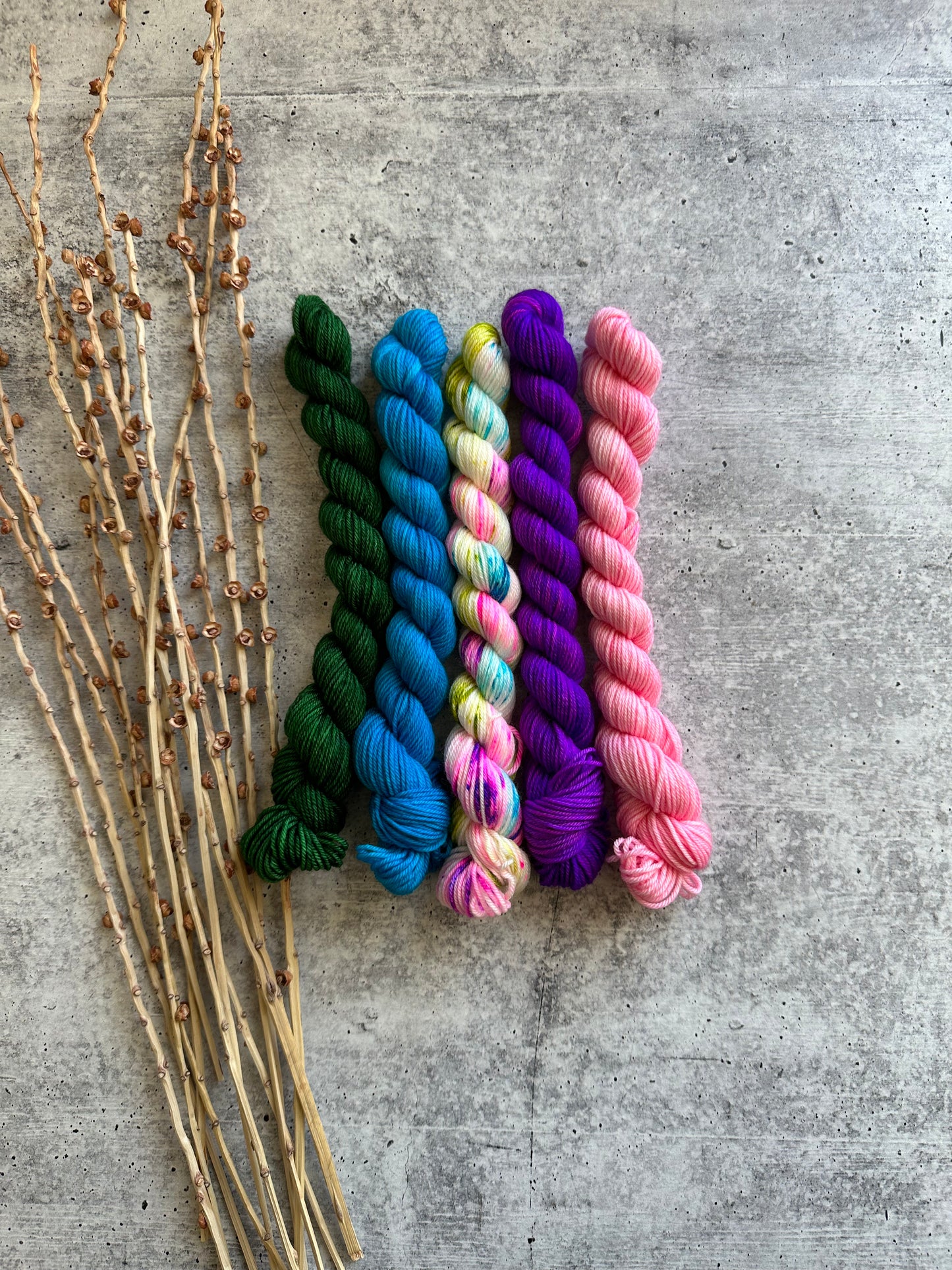 Circus Clown - SW Merino Nylon Mini Skein Set