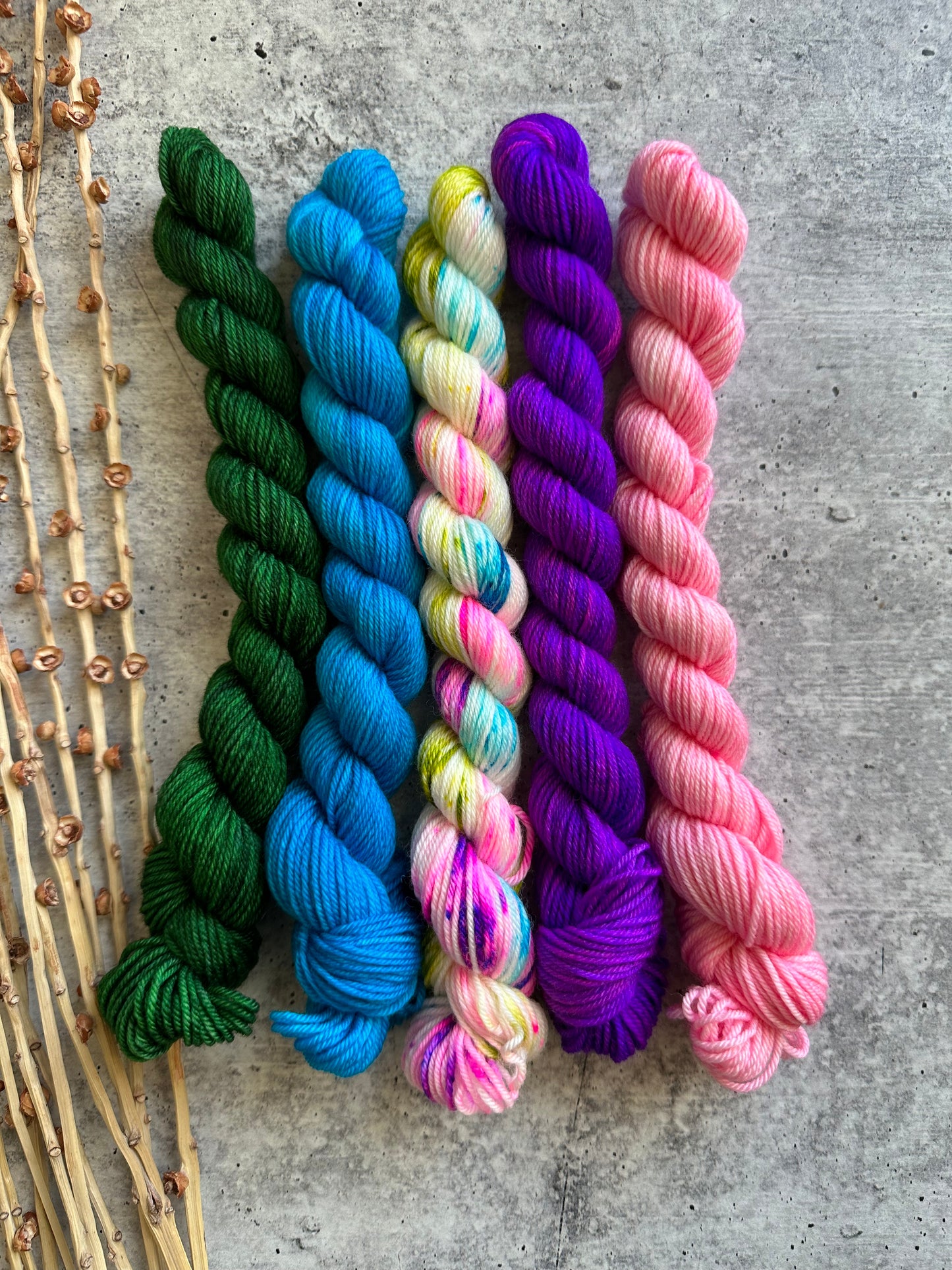 Circus Clown - SW Merino Nylon Mini Skein Set