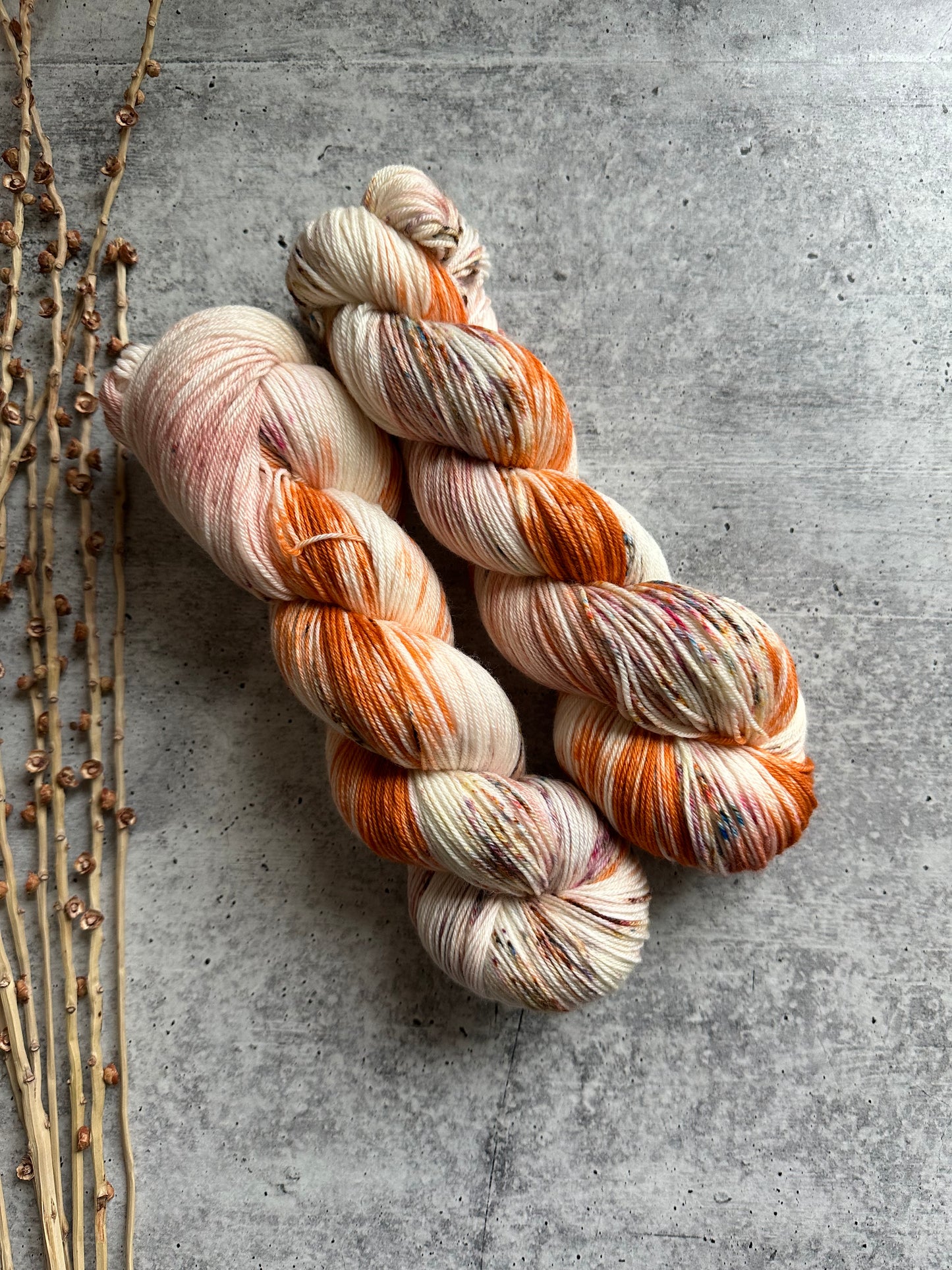 Pumpkin Pie Spice SW Merino Nylon Yarn