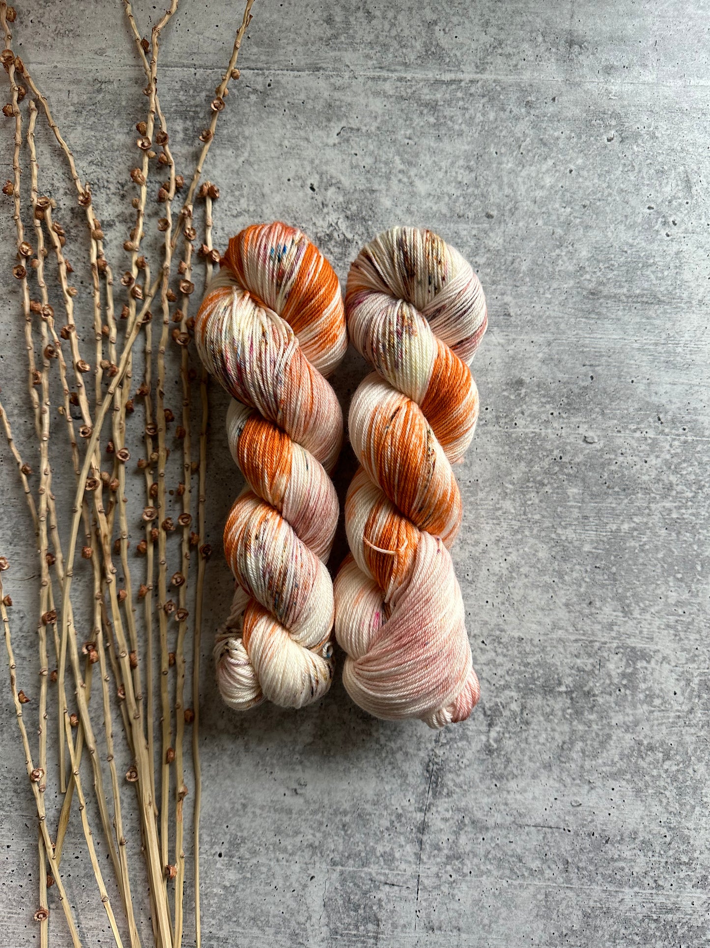 Pumpkin Pie Spice SW Merino Nylon Yarn