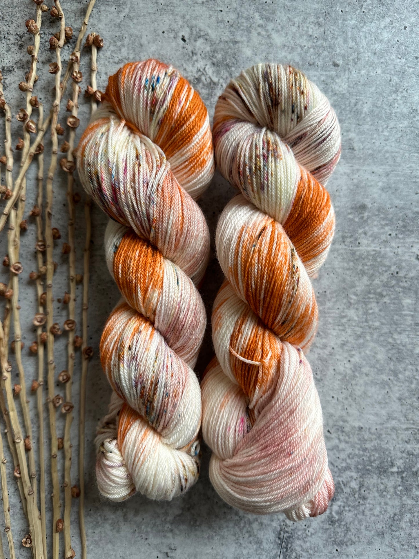 Pumpkin Pie Spice SW Merino Nylon Yarn