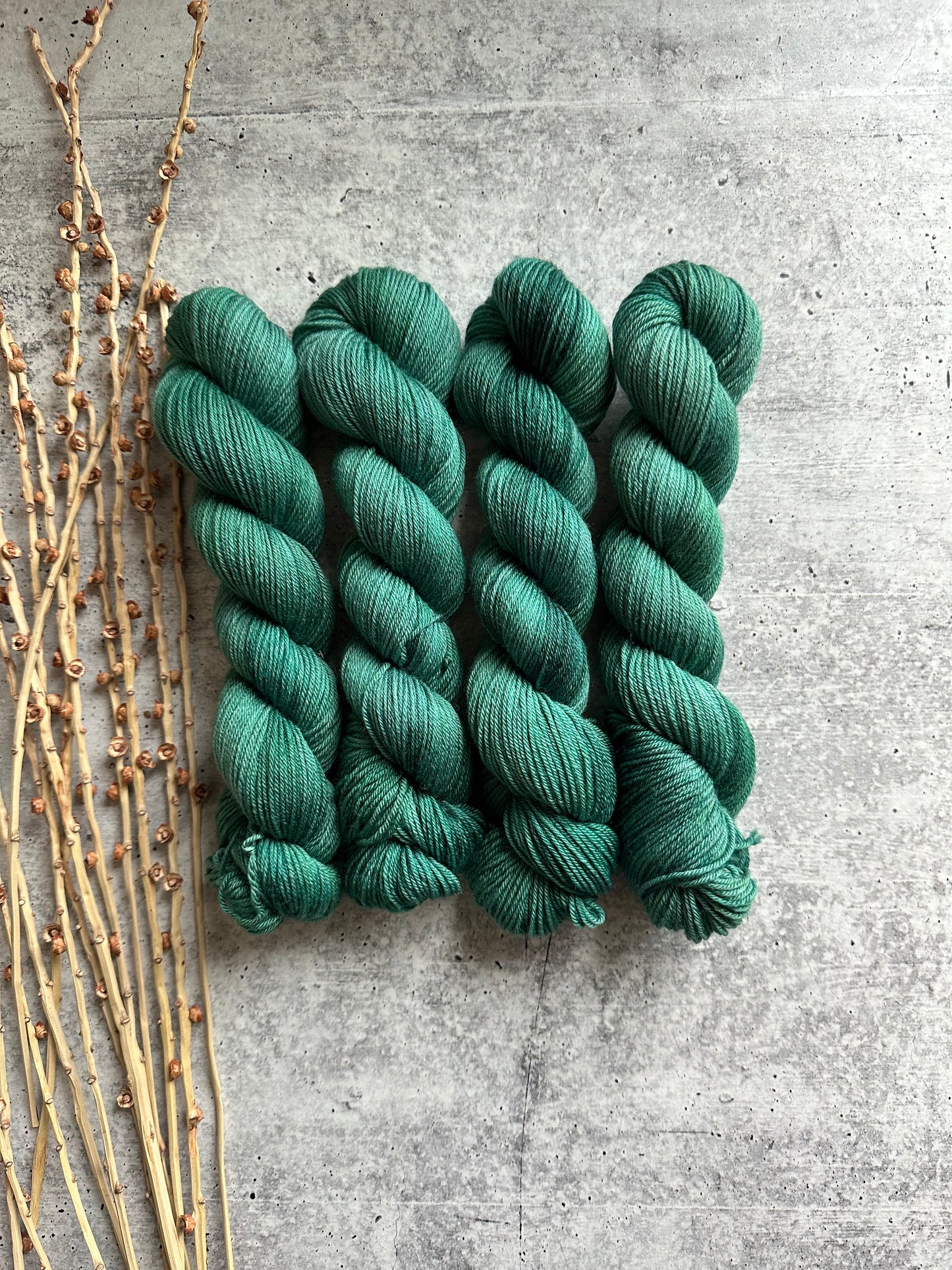 Forest SW Merino Nylon 50g Skein