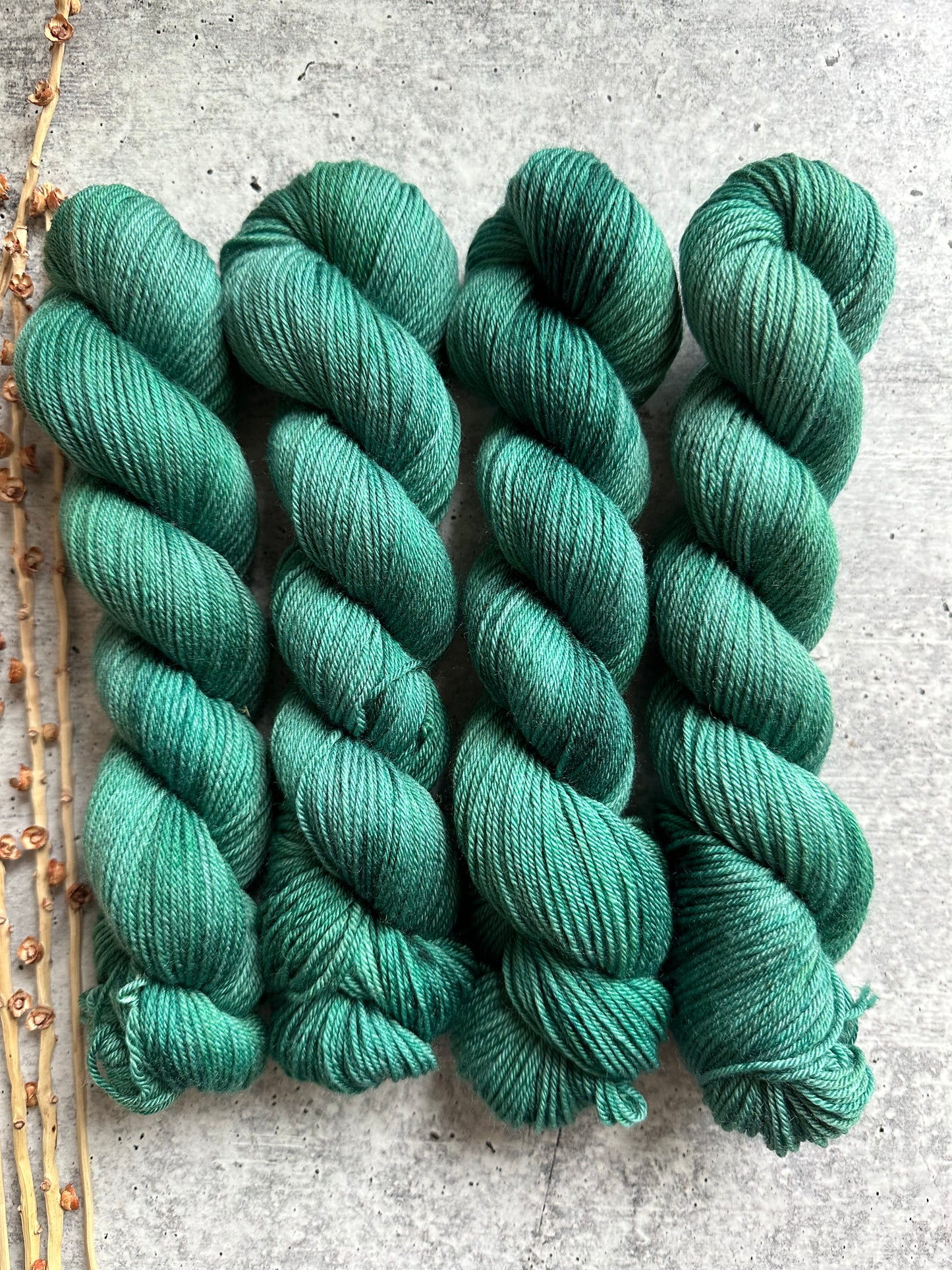 Forest SW Merino Nylon 50g Skein