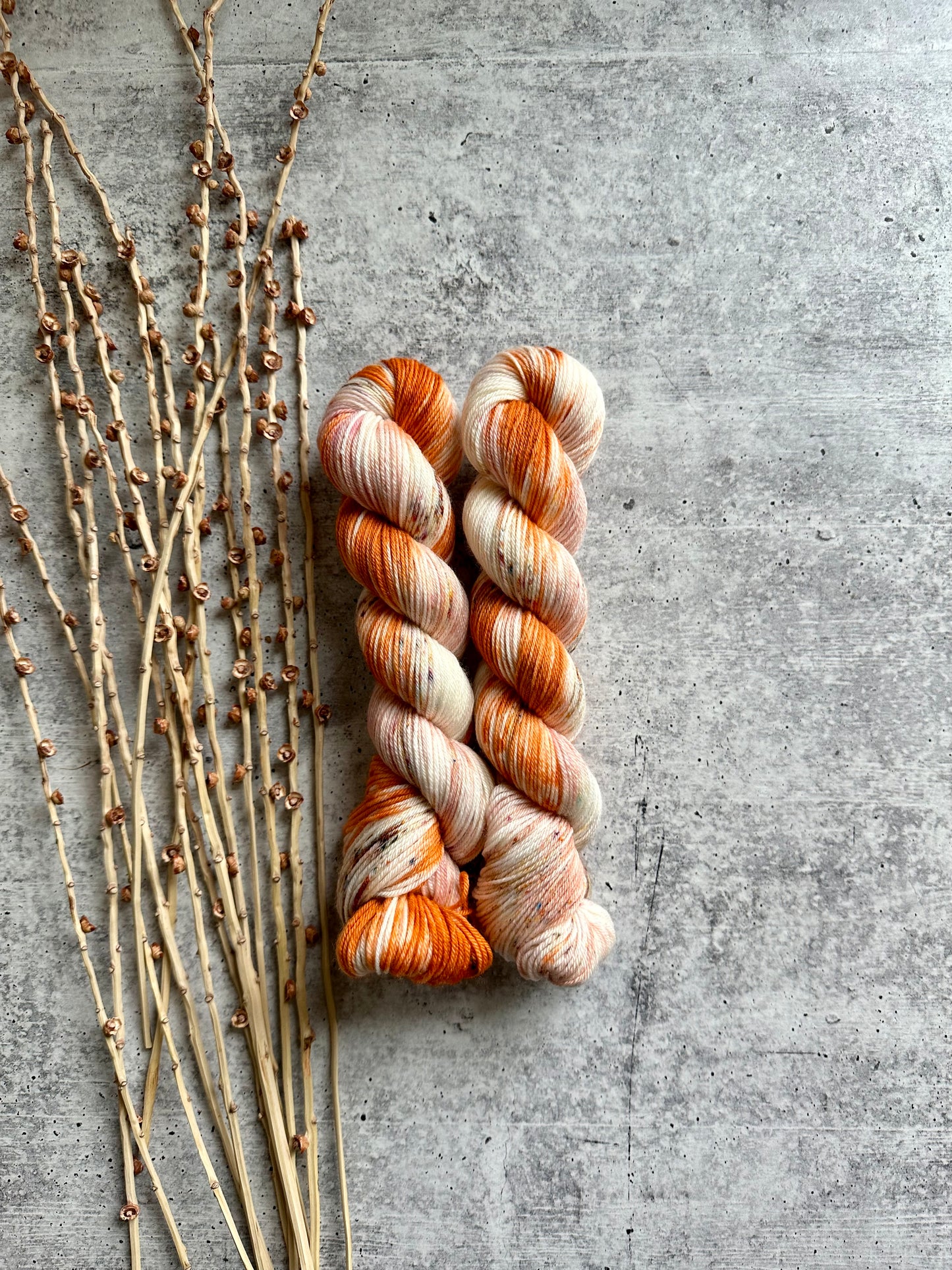 Pumpkin Pie Spice SW Merino Nylon 50g Skein