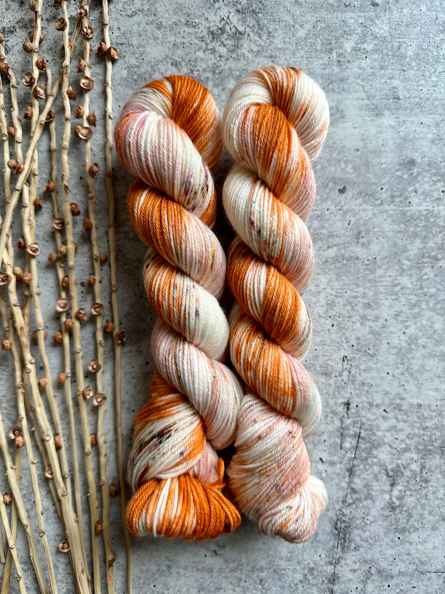 Pumpkin Pie Spice SW Merino Nylon 50g Skein