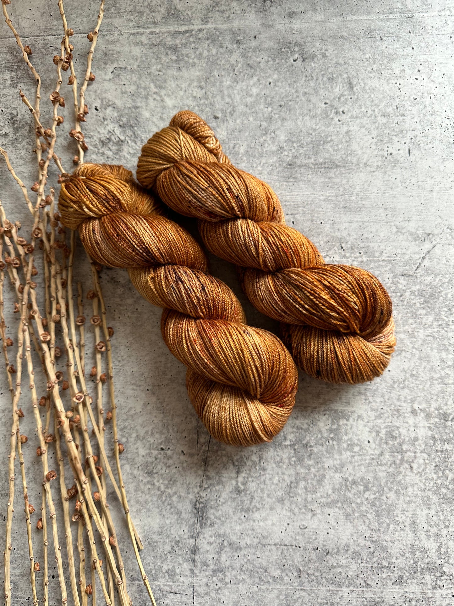 Turmeric SW Merino Nylon Yarn