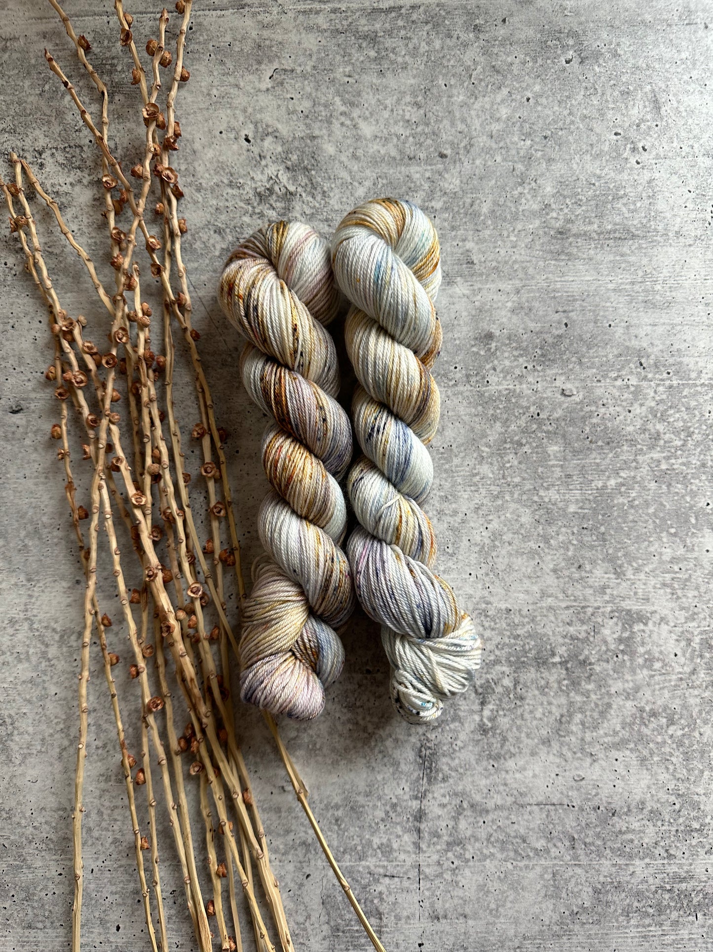 Plié SW Merino Nylon 50g Skein