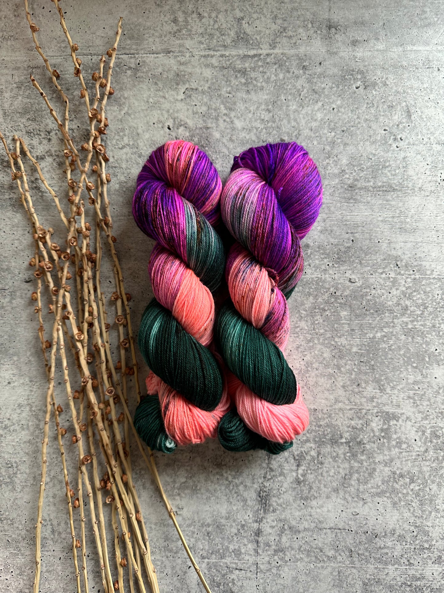 Chassé SW Merino Nylon Yarn