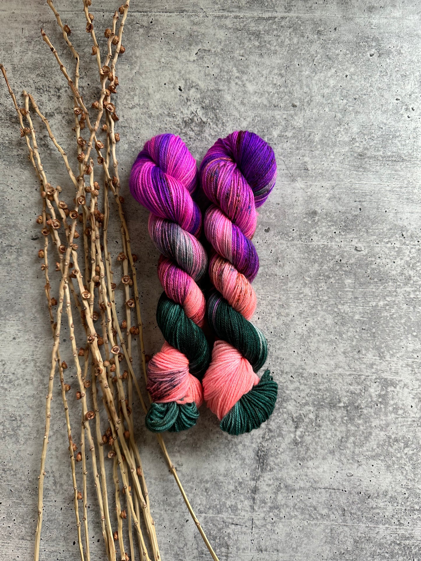 Chassé SW Merino Nylon 50g Skein
