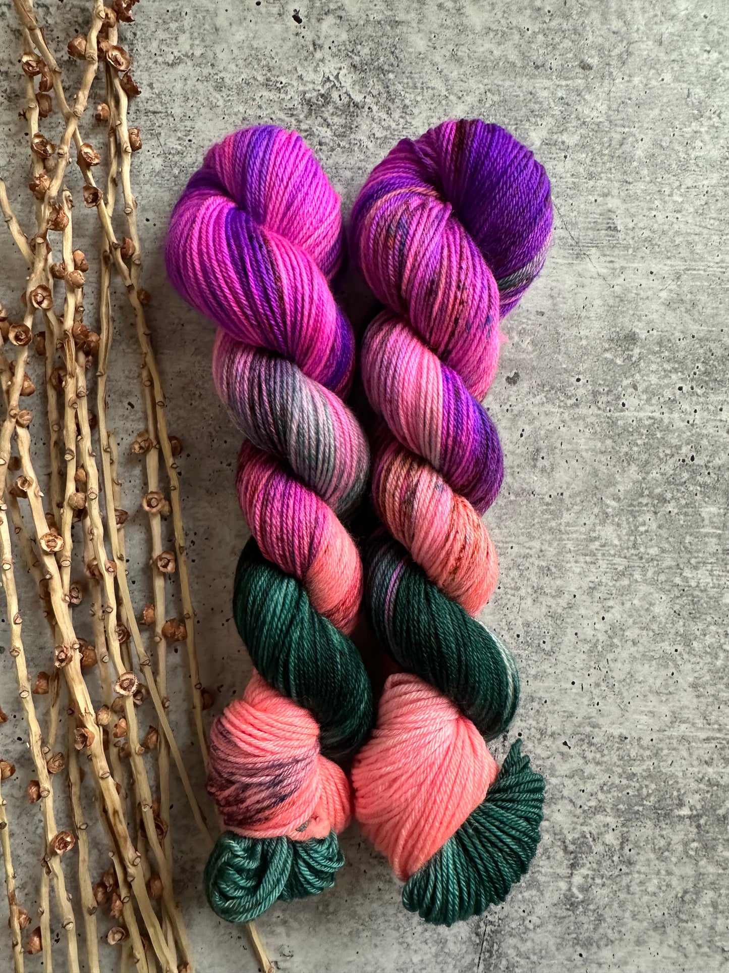 Chassé SW Merino Nylon 50g Skein