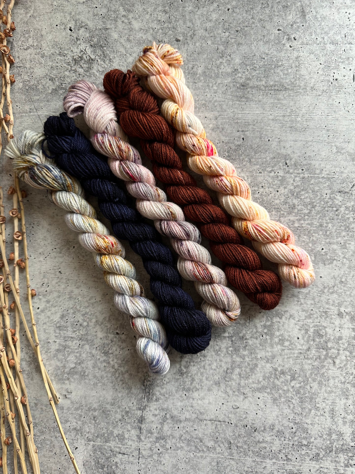 Pirouette - SW Merino Nylon Mini Skein Set