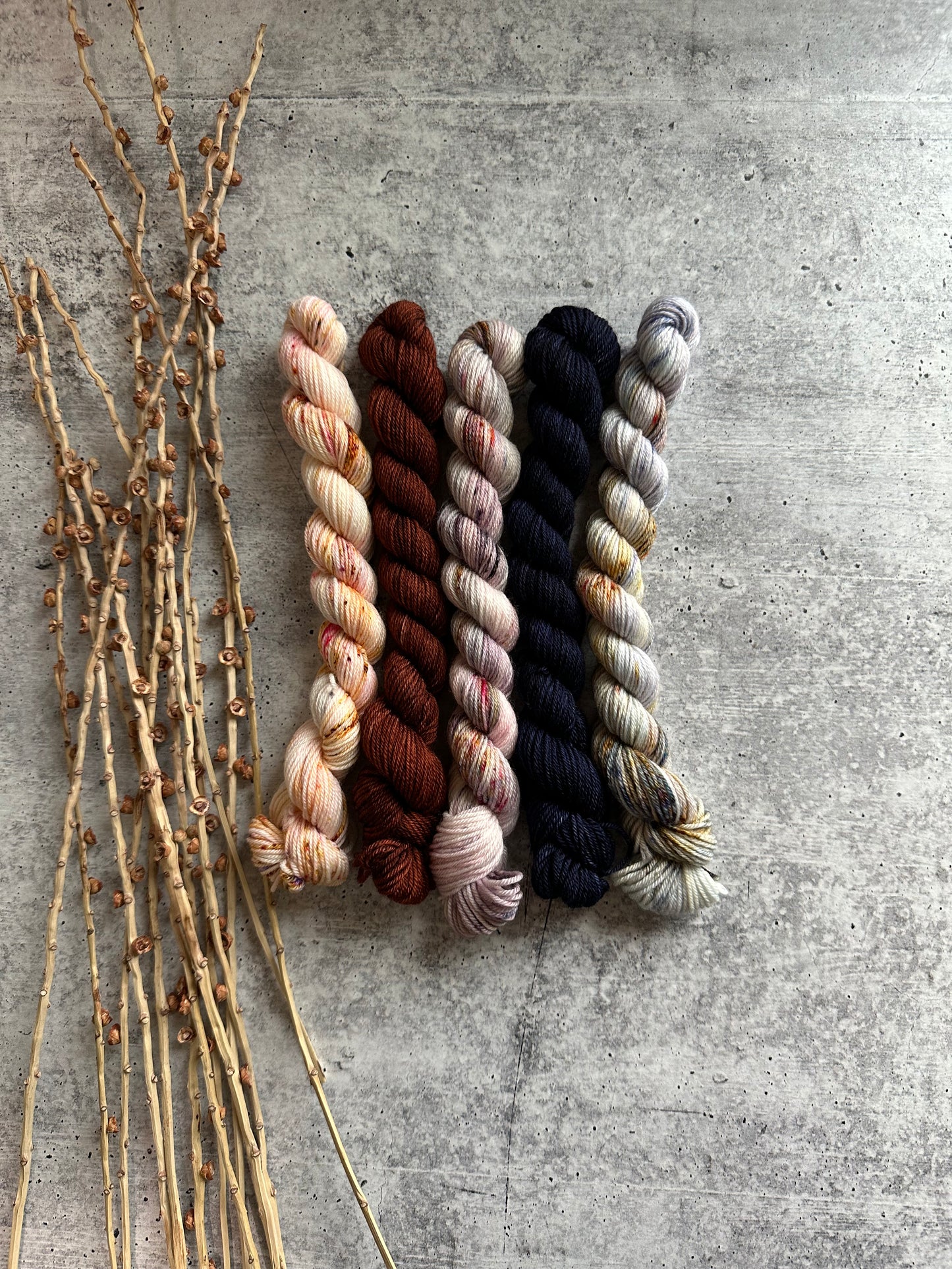 Pirouette - SW Merino Nylon Mini Skein Set
