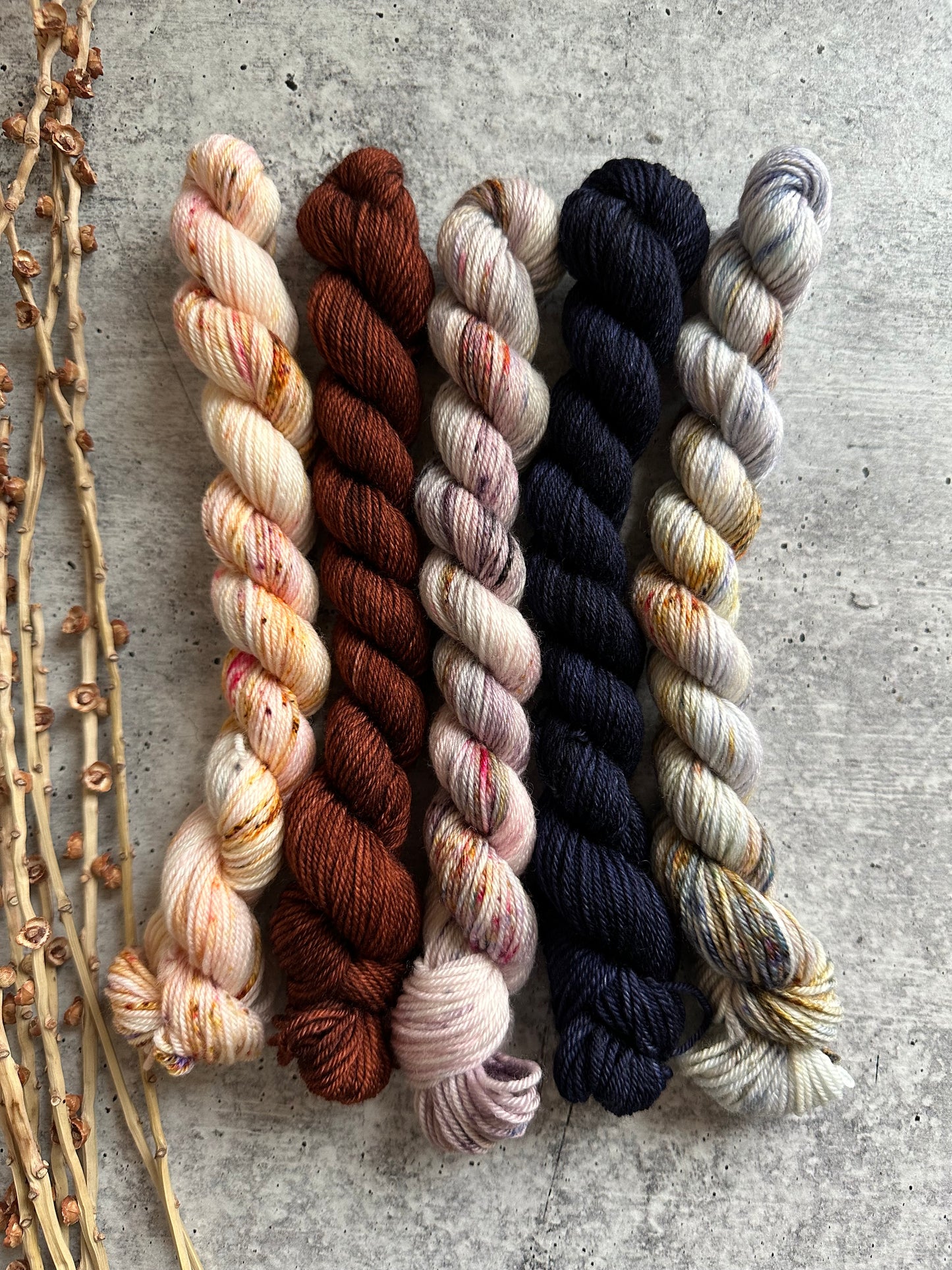 Pirouette - SW Merino Nylon Mini Skein Set