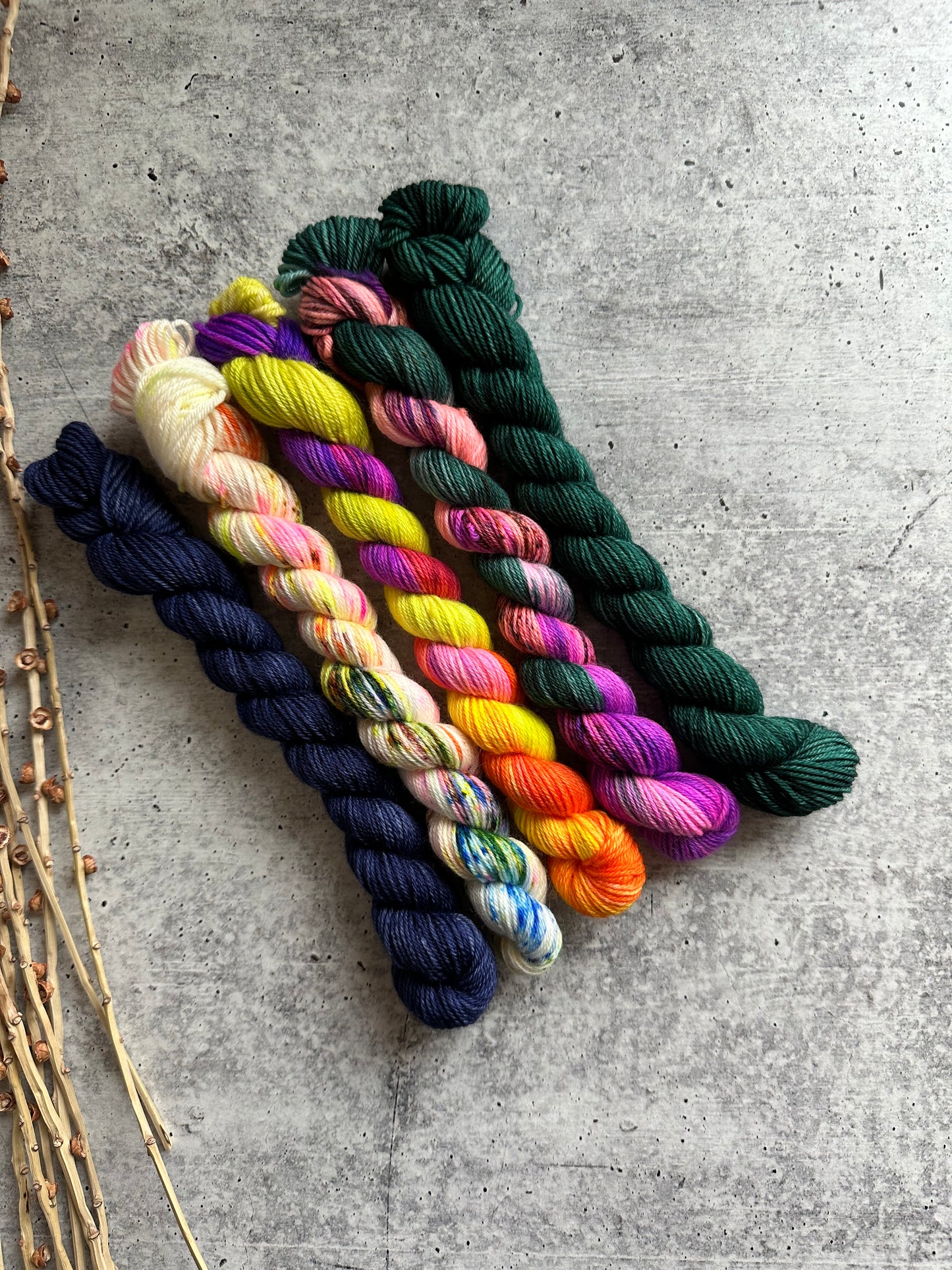 Chassé - SW Merino Nylon Mini Skein Set