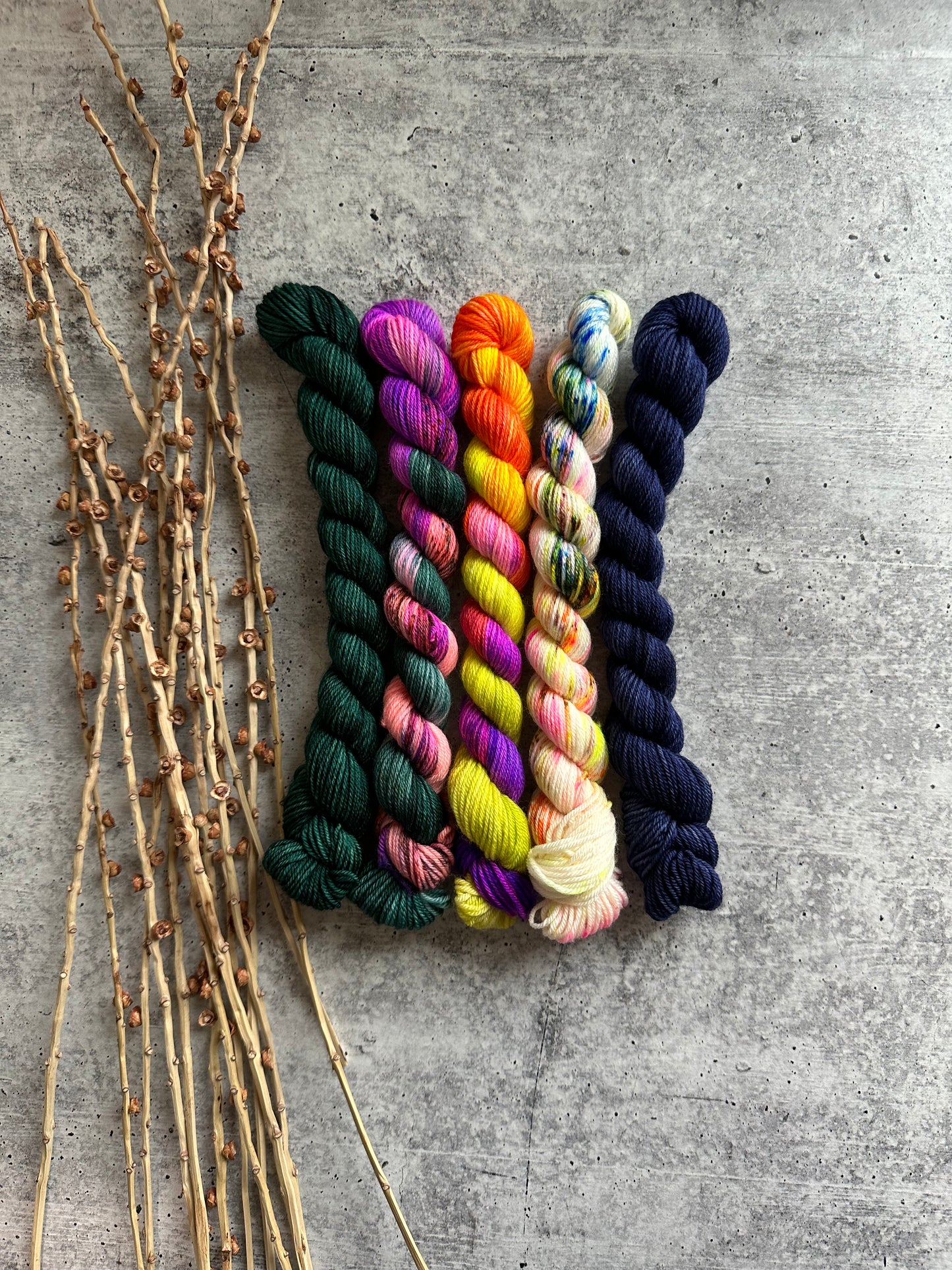 Chassé - SW Merino Nylon Mini Skein Set