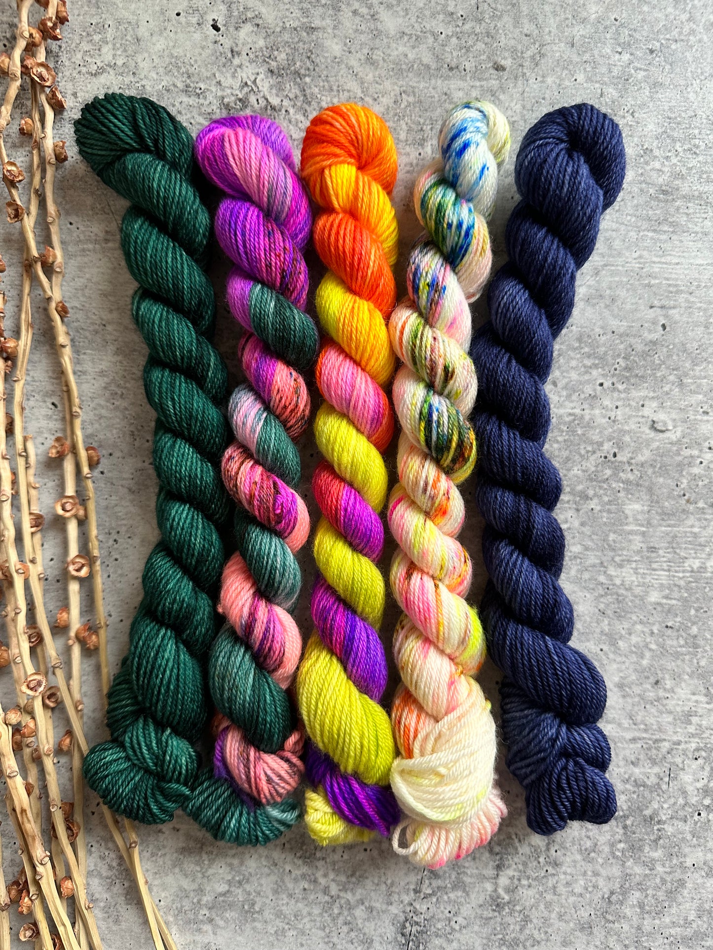 Chassé - SW Merino Nylon Mini Skein Set