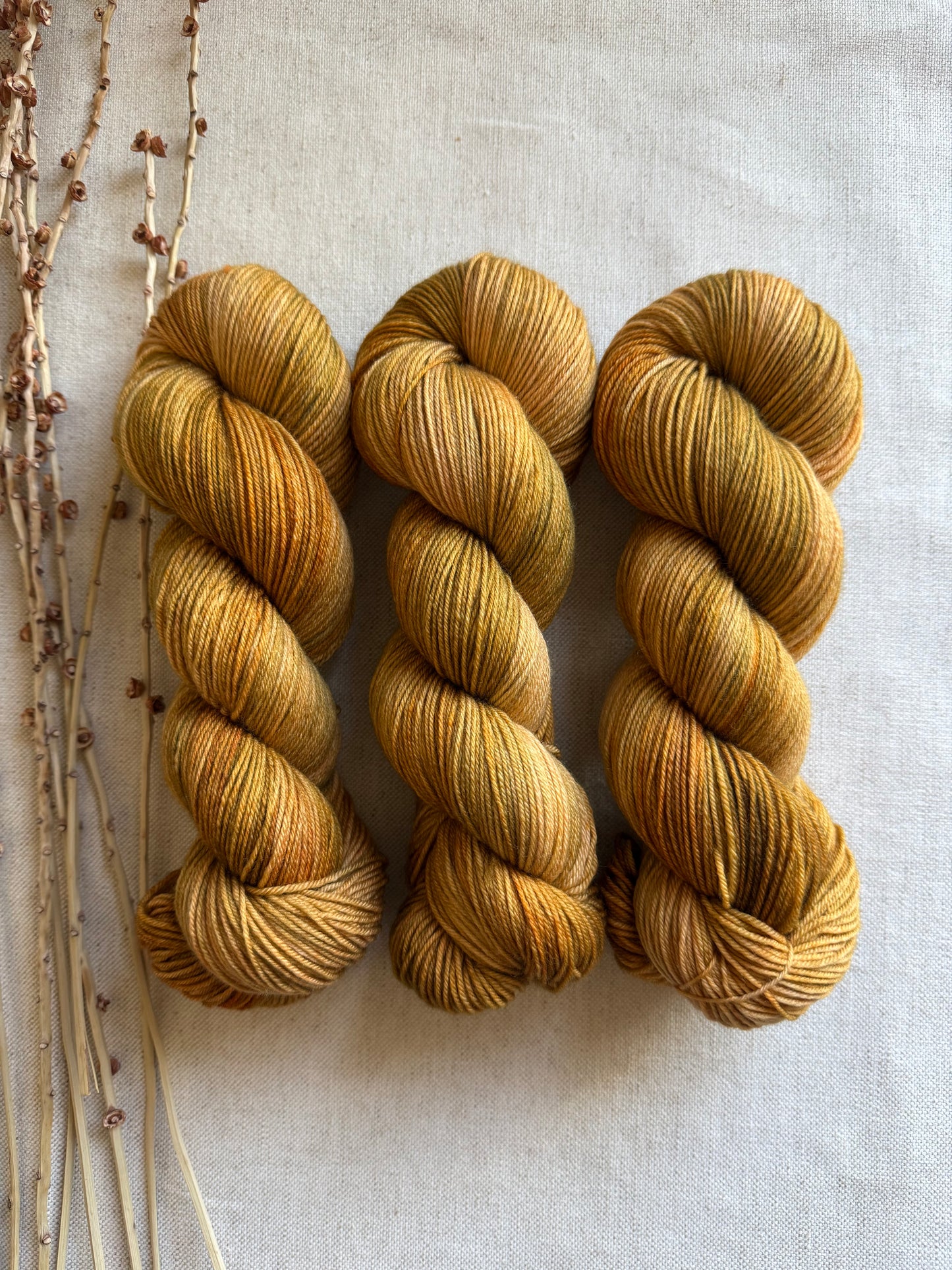Maple Sugar SW Merino Nylon 100g