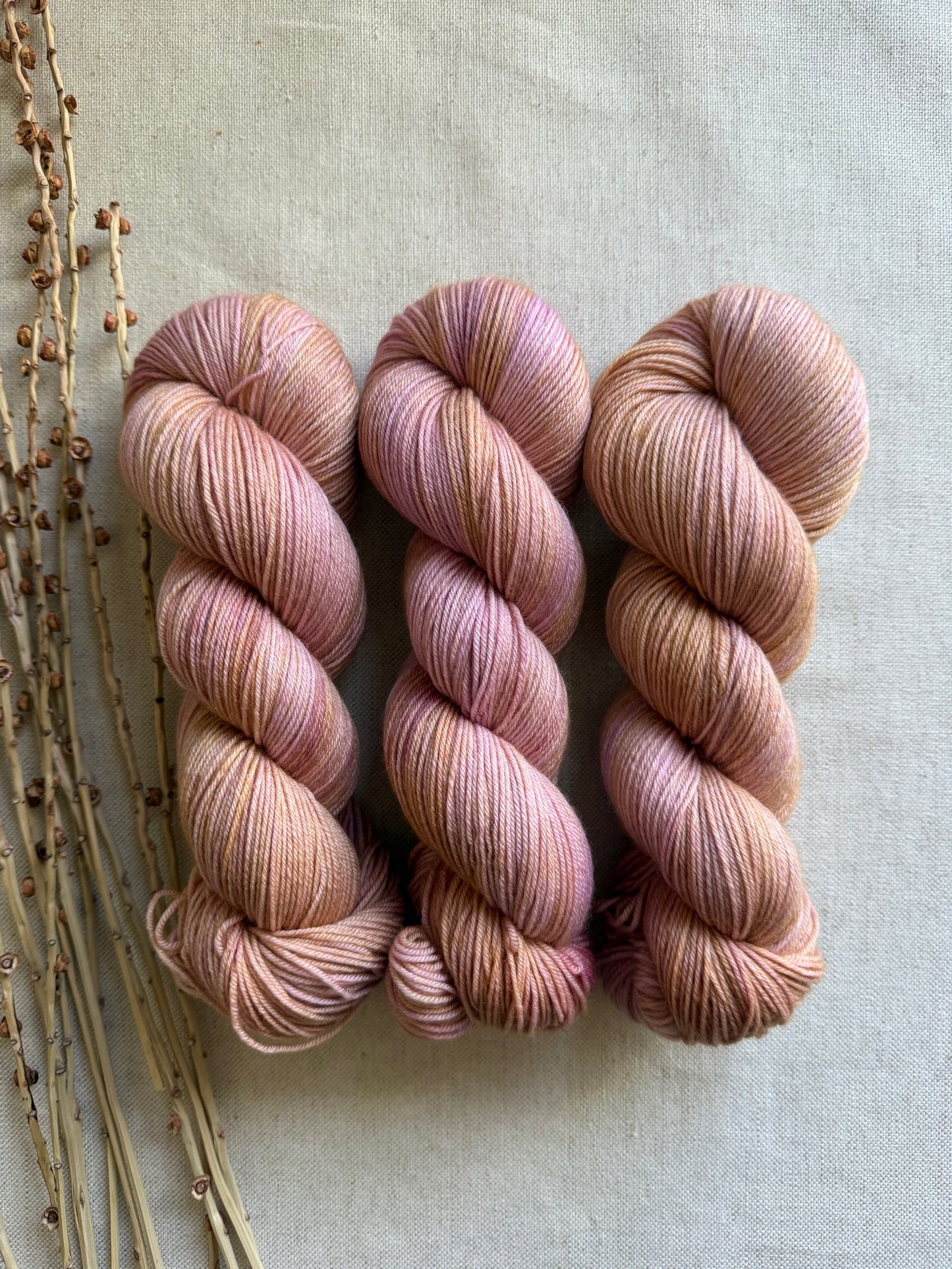 Lobster Bisque SW Merino Nylon 100g