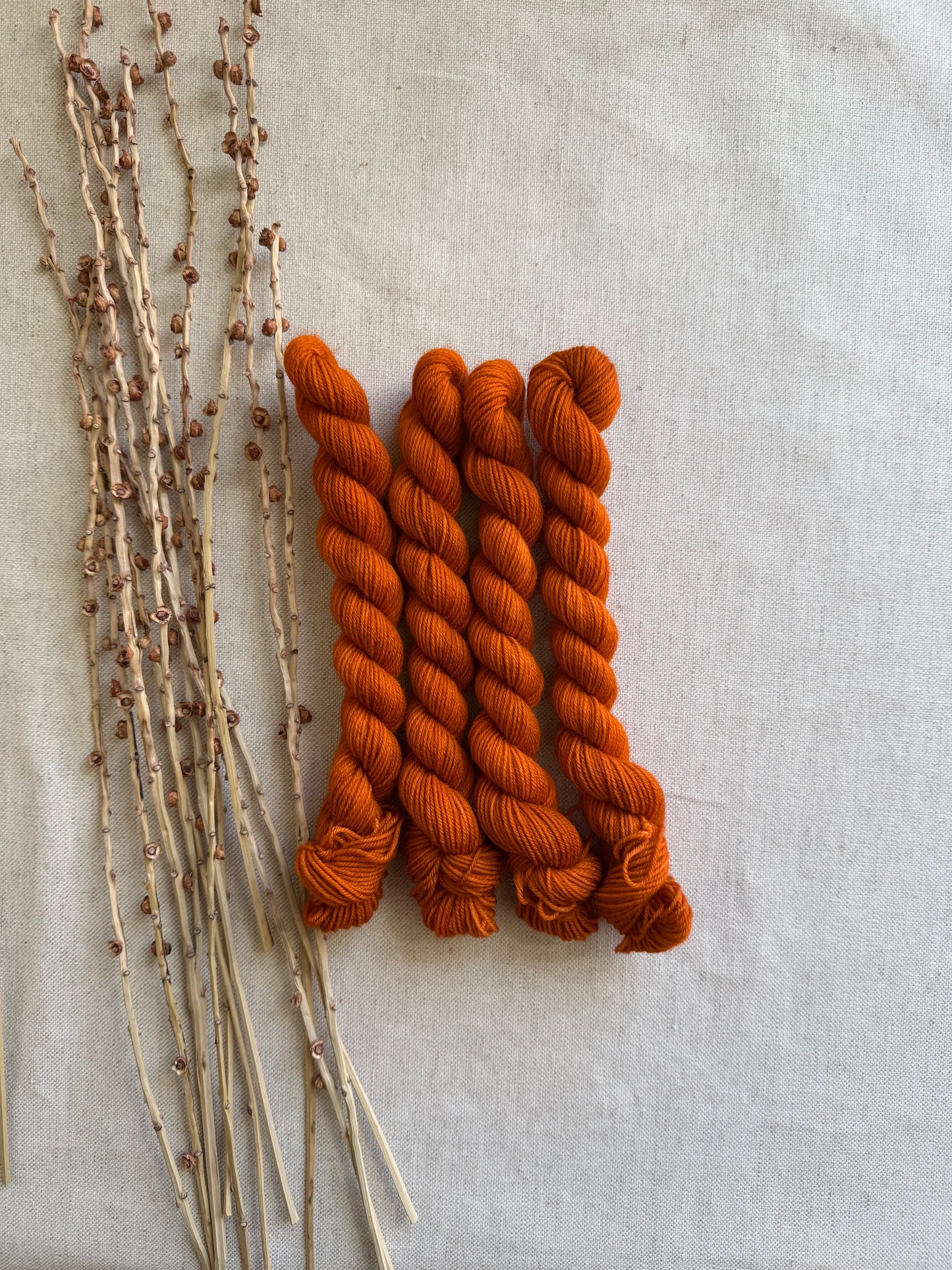 Spiced Pumpkin - SW Wool Recycled Nylon Mini Skein