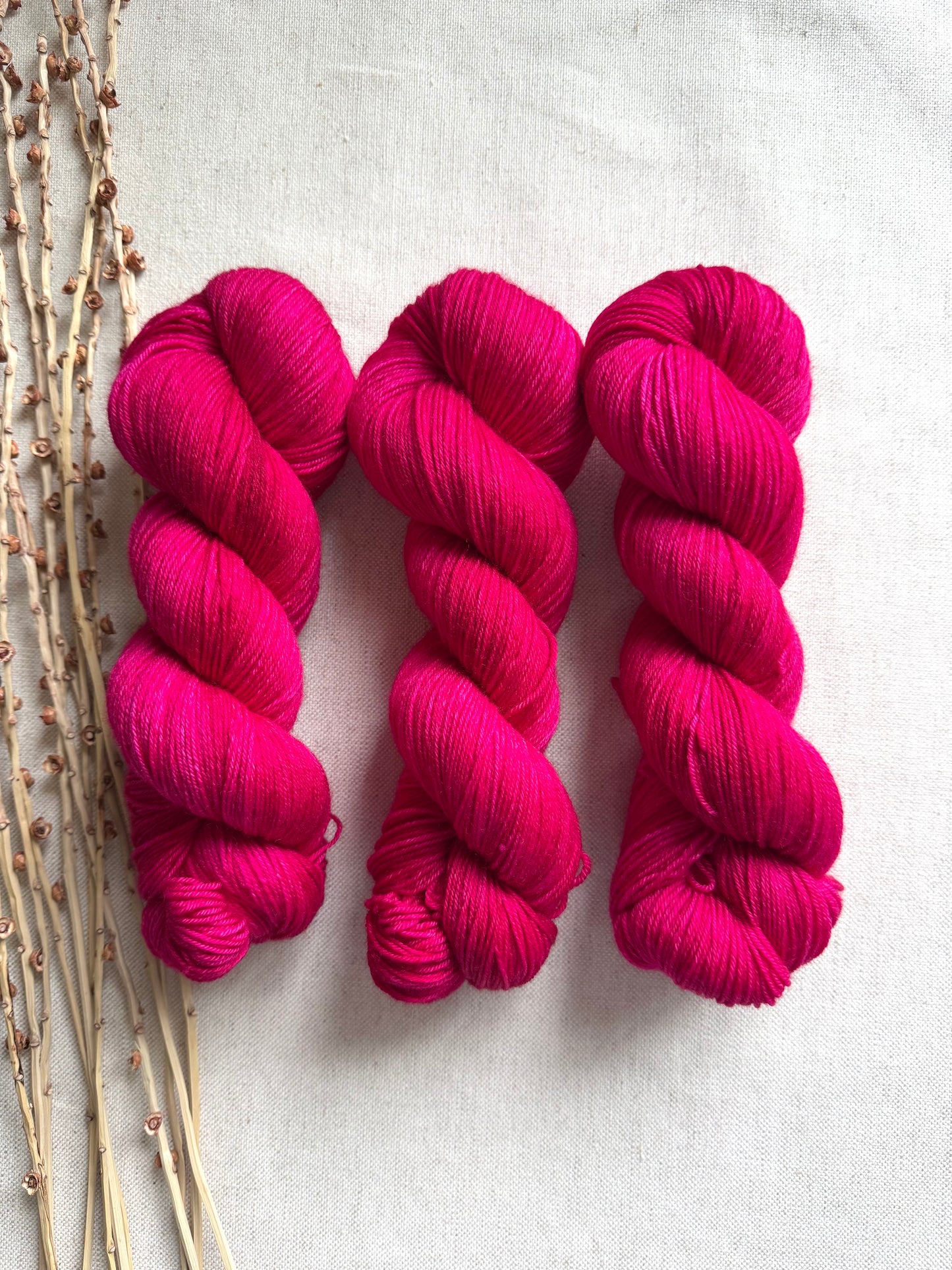Polar Red SW Merino Nylon 100g Skein